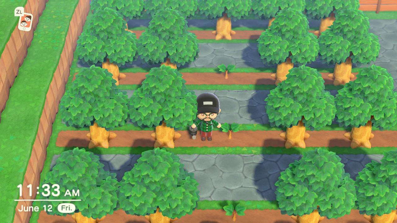 Anyone able to explain why these trees wont grow? r/AnimalCrossing