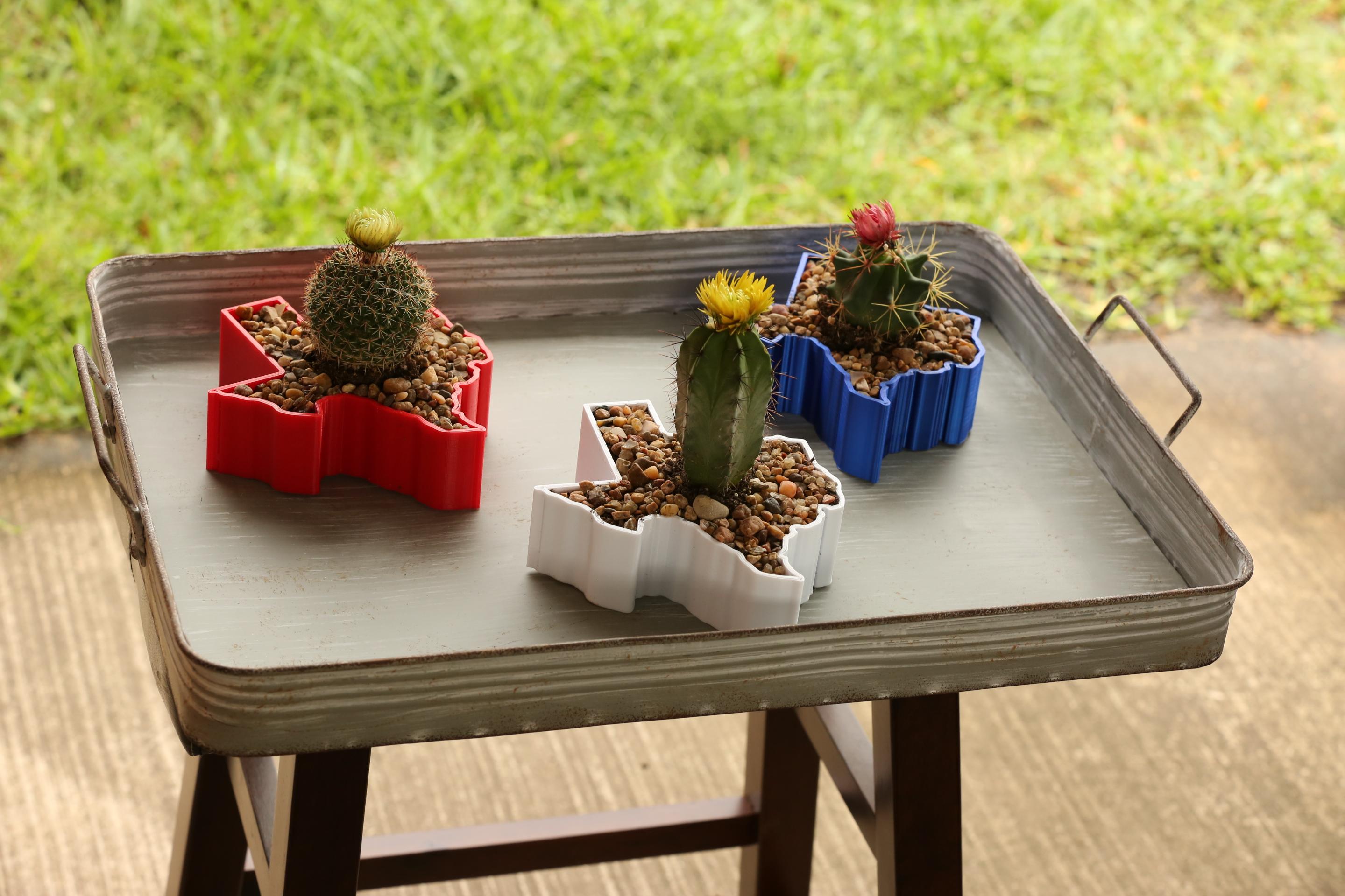 Cactus Planters Shaped like Texas 3Dprinting