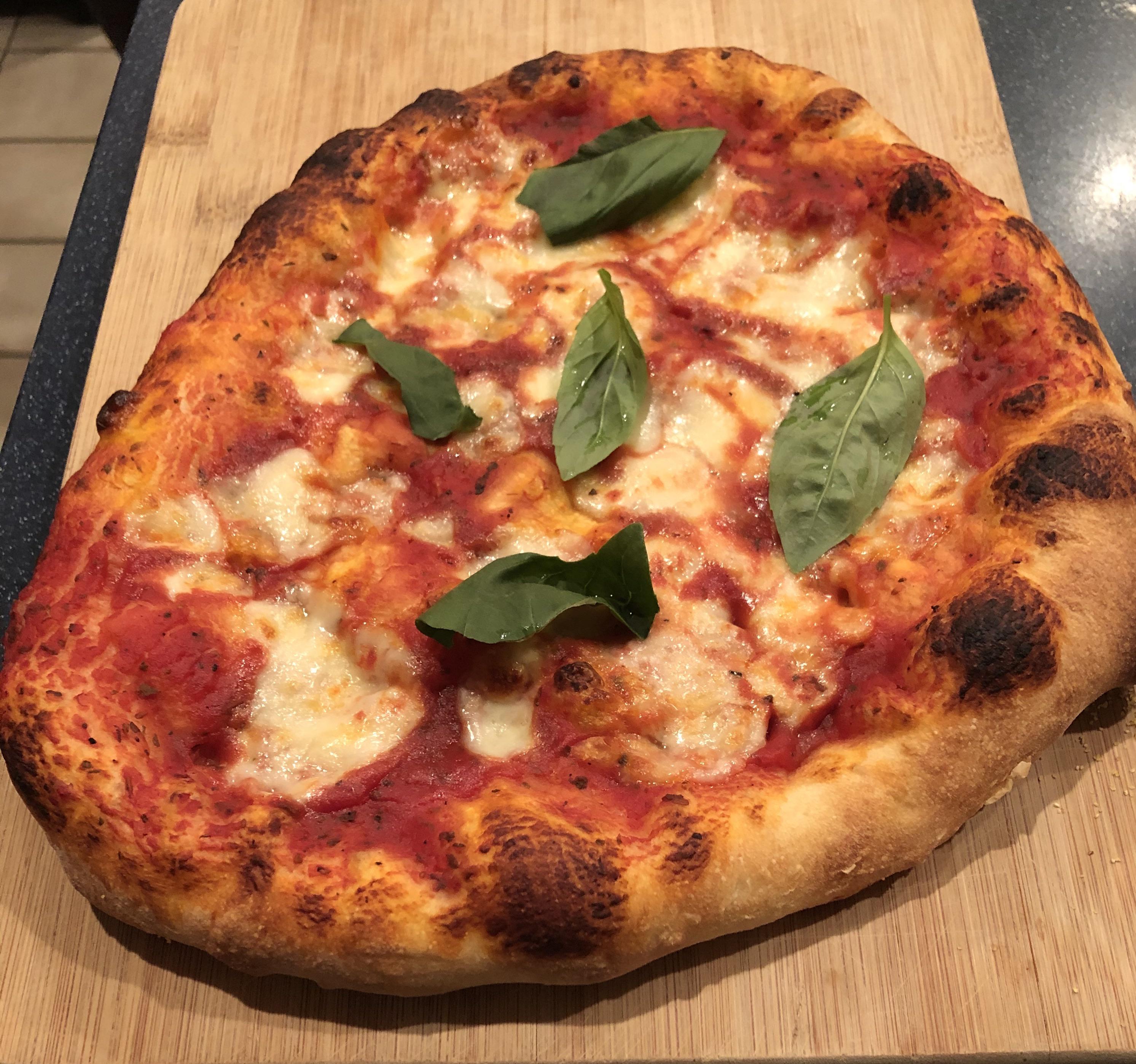 First 24hr cold fermentation r/Pizza
