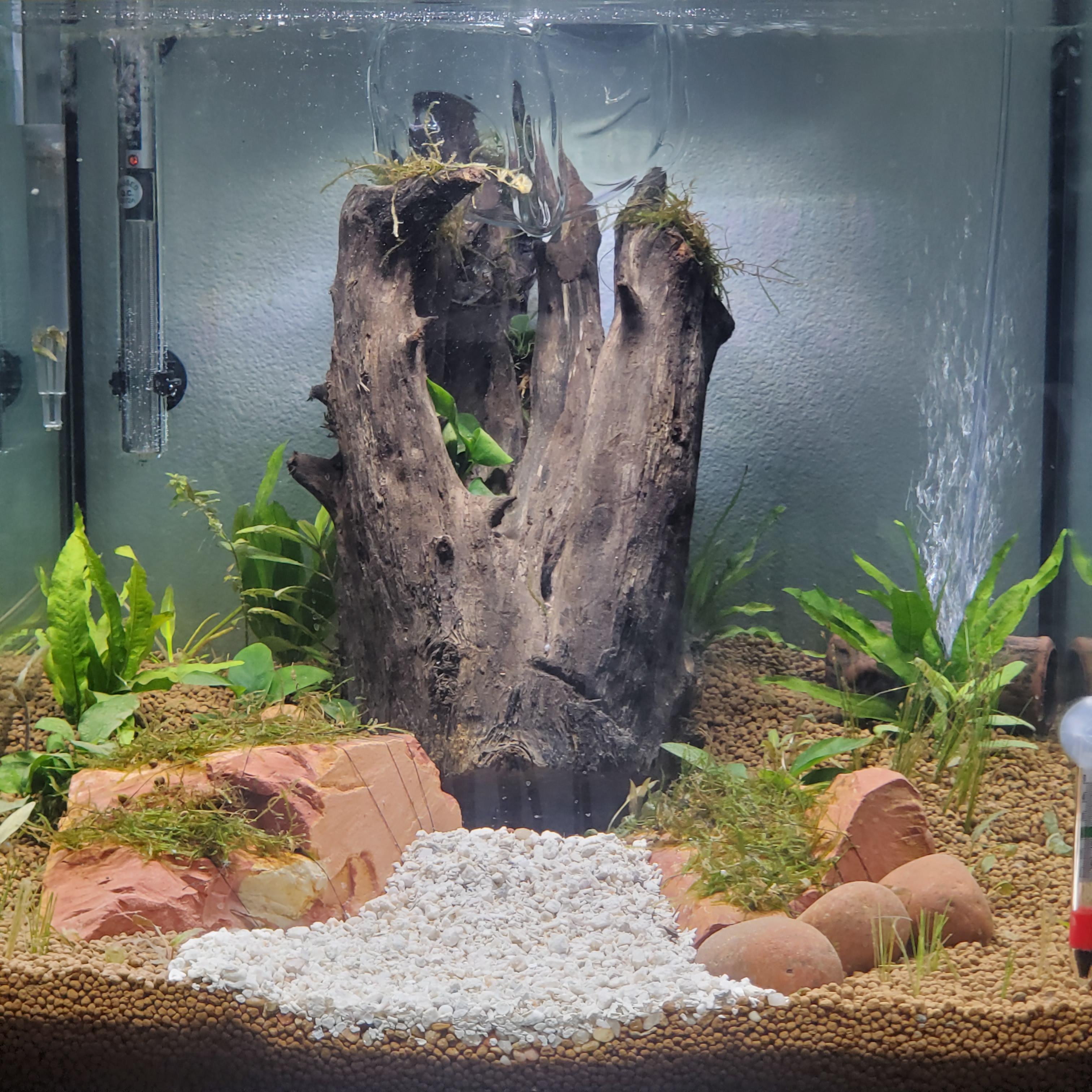 impossible to raise KH with controsoil? r/Aquariums