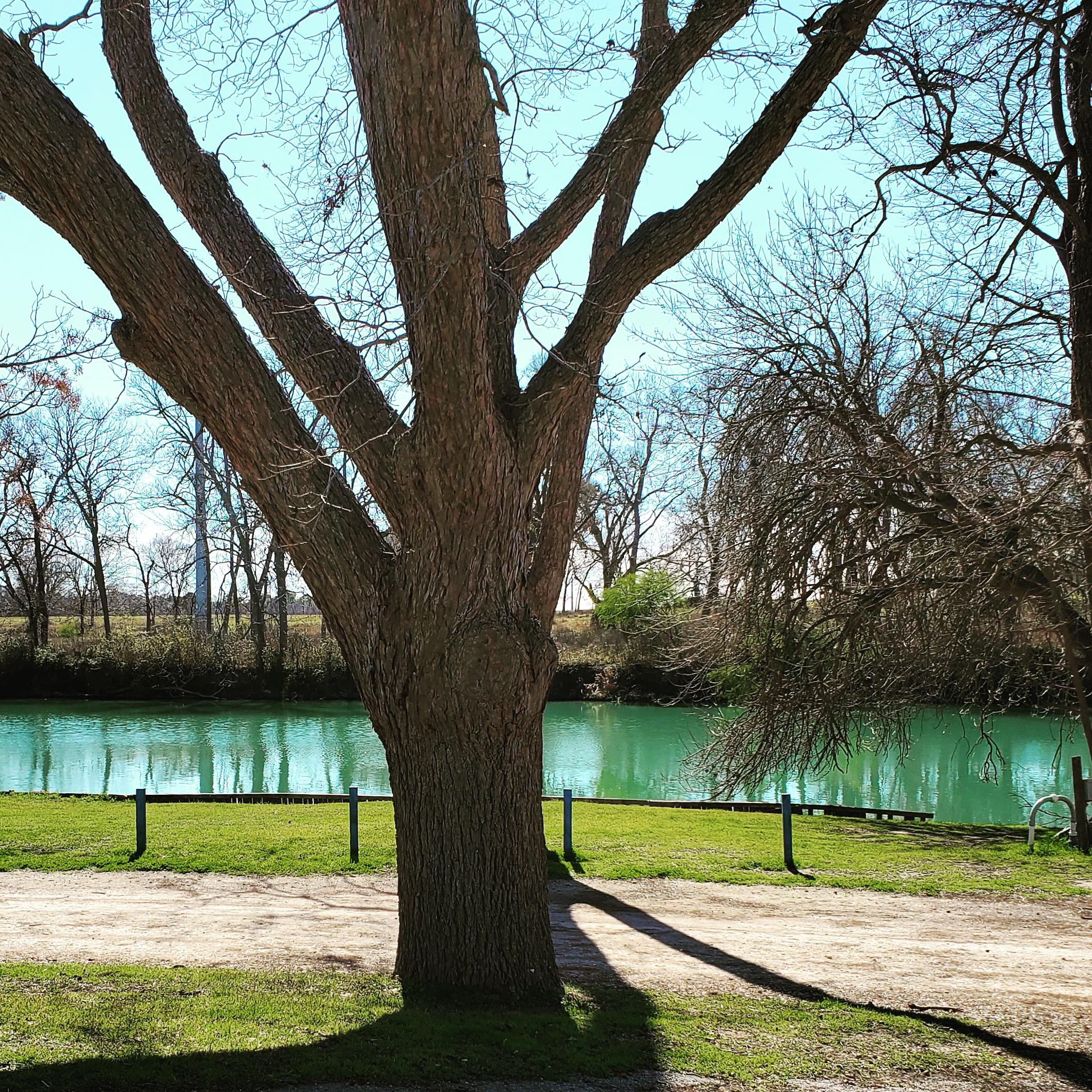 Our view for the month. The Guadalupe river near Seguin TX r/camping