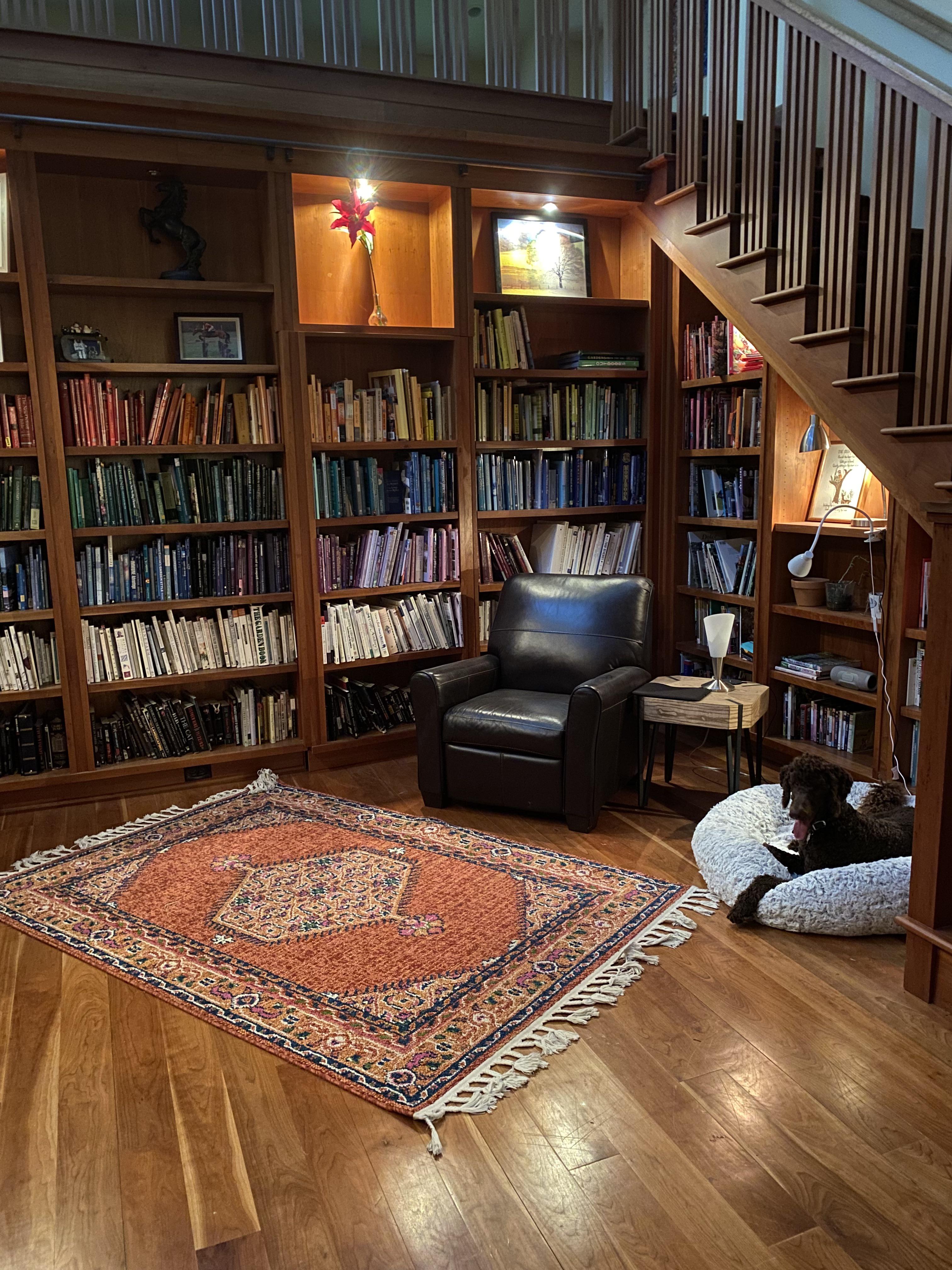 My cozy library space with my pup! Ytqaz2019