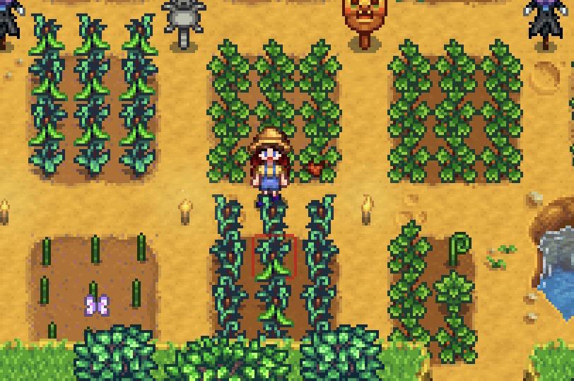 GREAT! I can't collect my green beans not because I am new to this game but because I am a