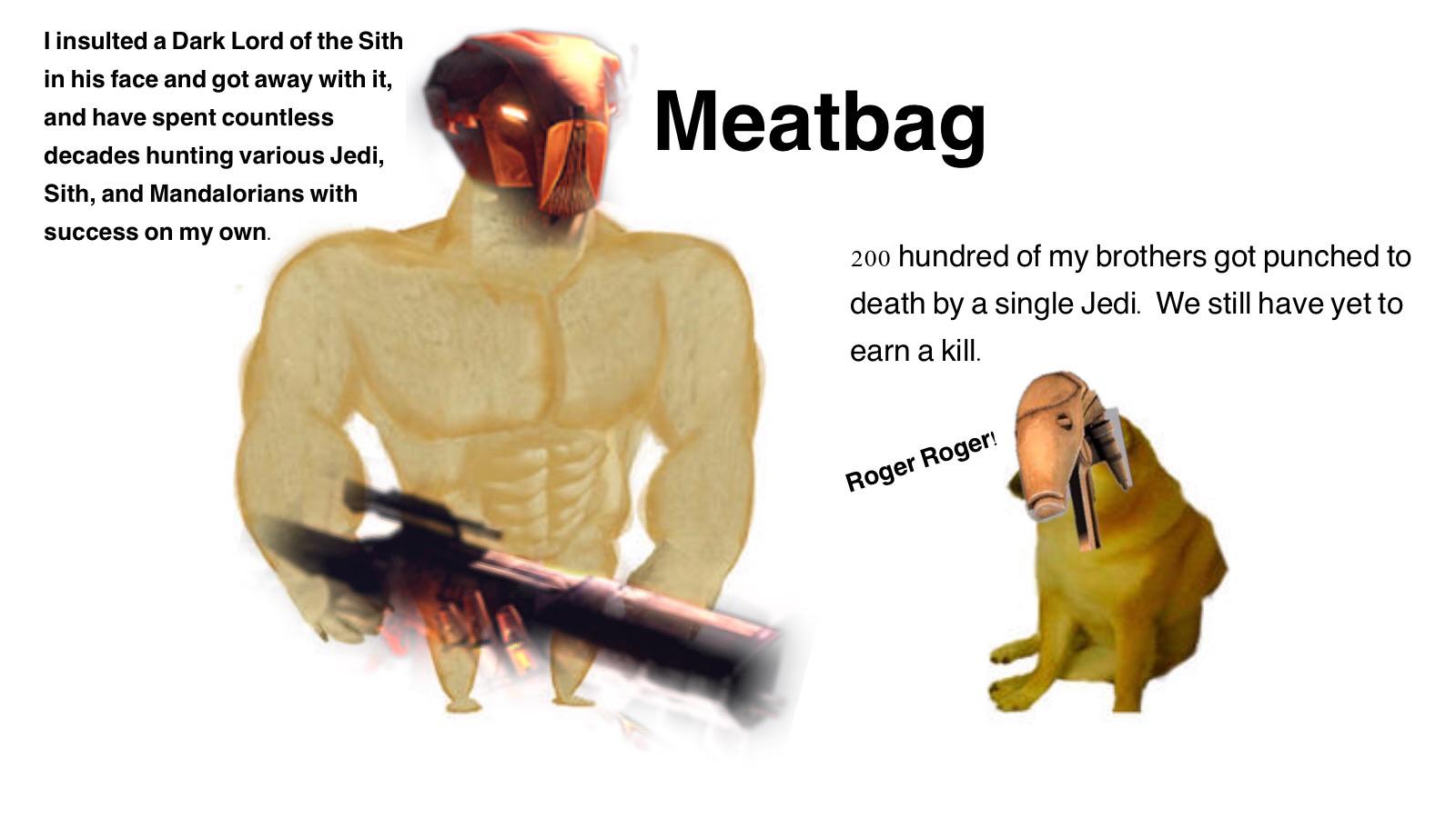 Meatbag r/ORMemes