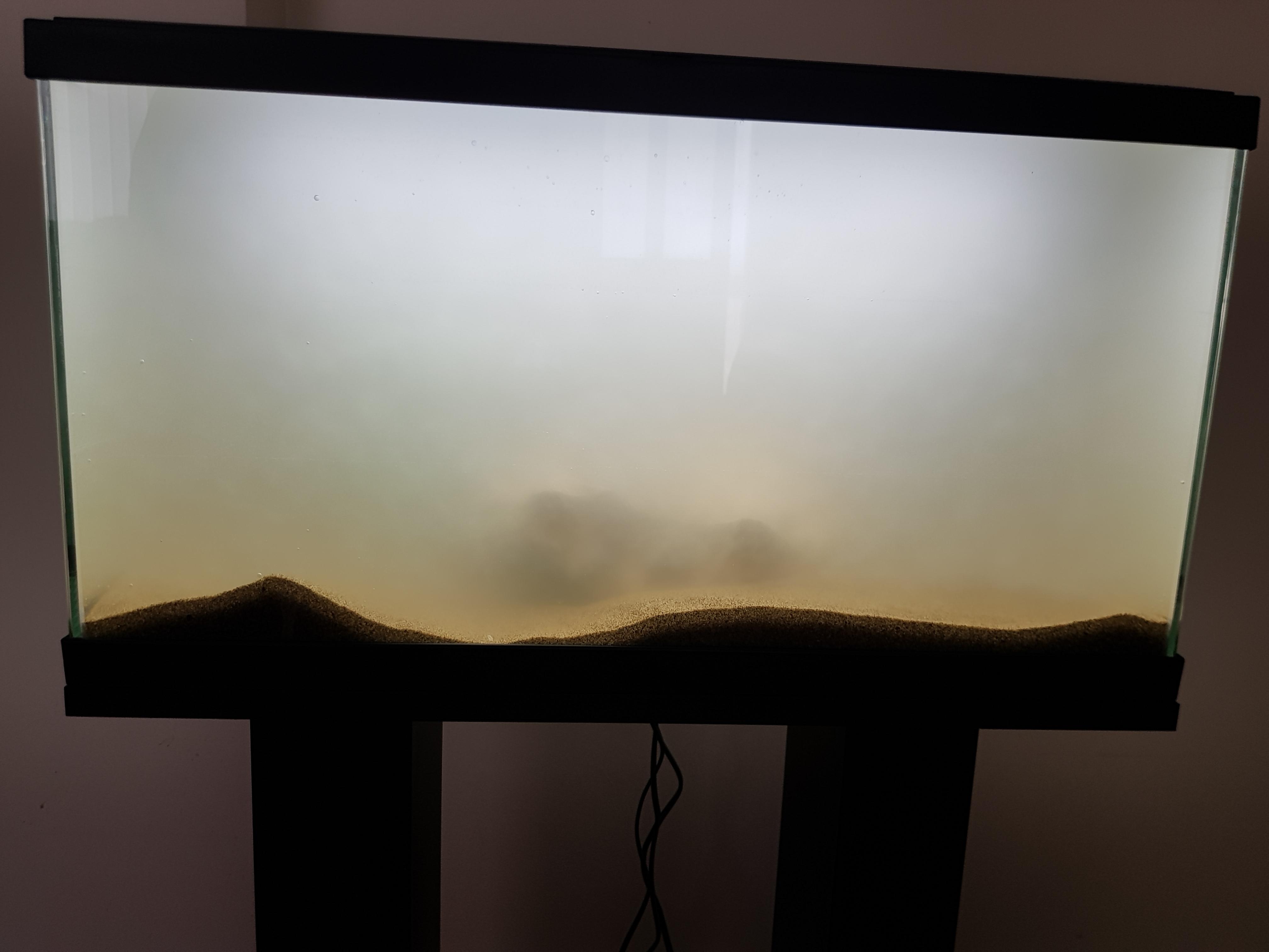 60l tank day 1 hour 1 filled cold cloudy acclimatising r/Aquariums