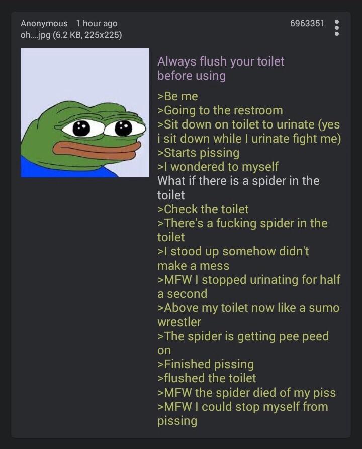 Always flush your toilet before using r/greentext