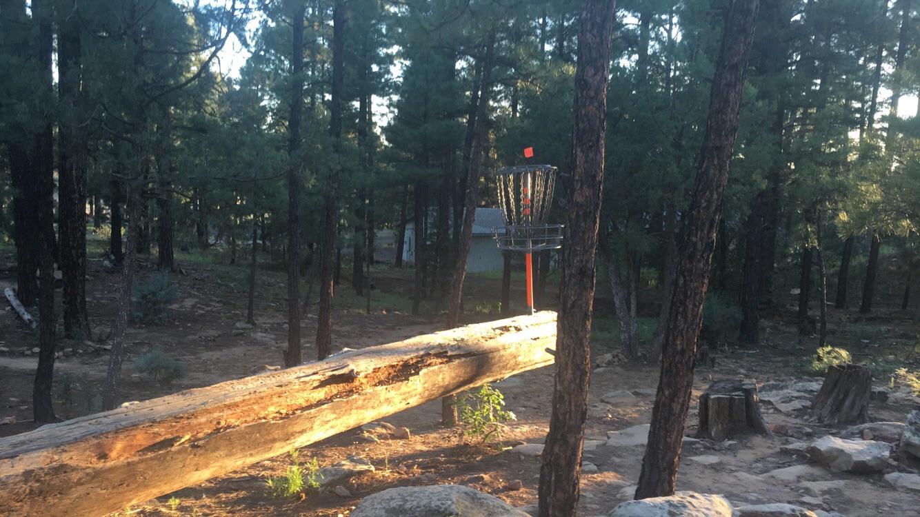 Disc Golf Hole at Show Low Park r/arizona