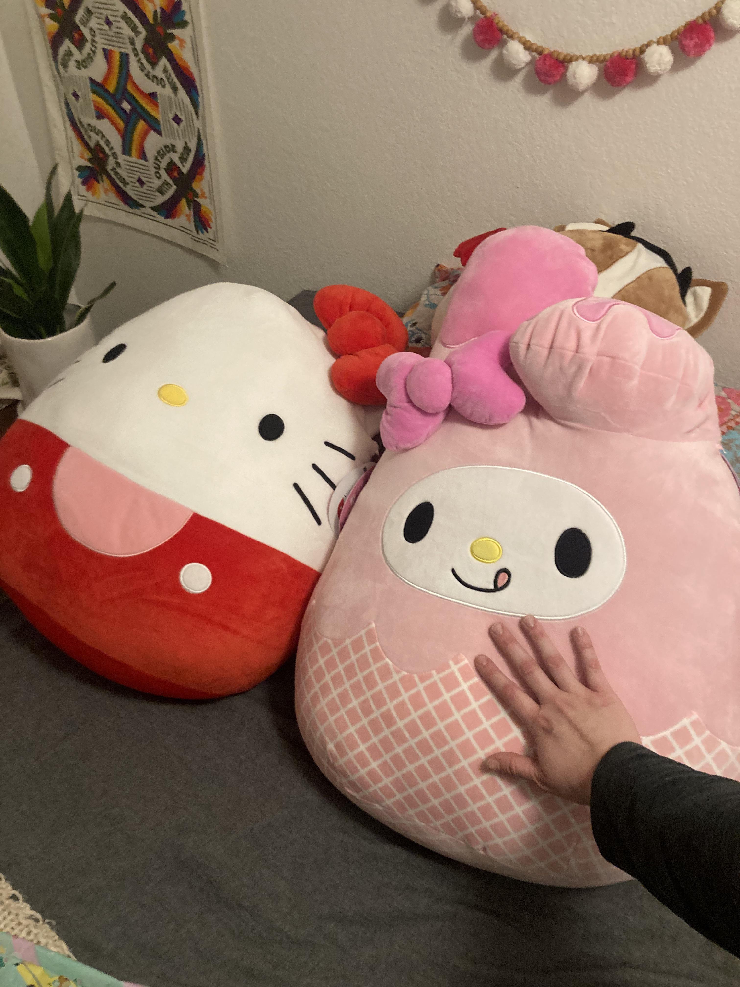 found the sanrio collection at my costco! got hello kitty for me and my