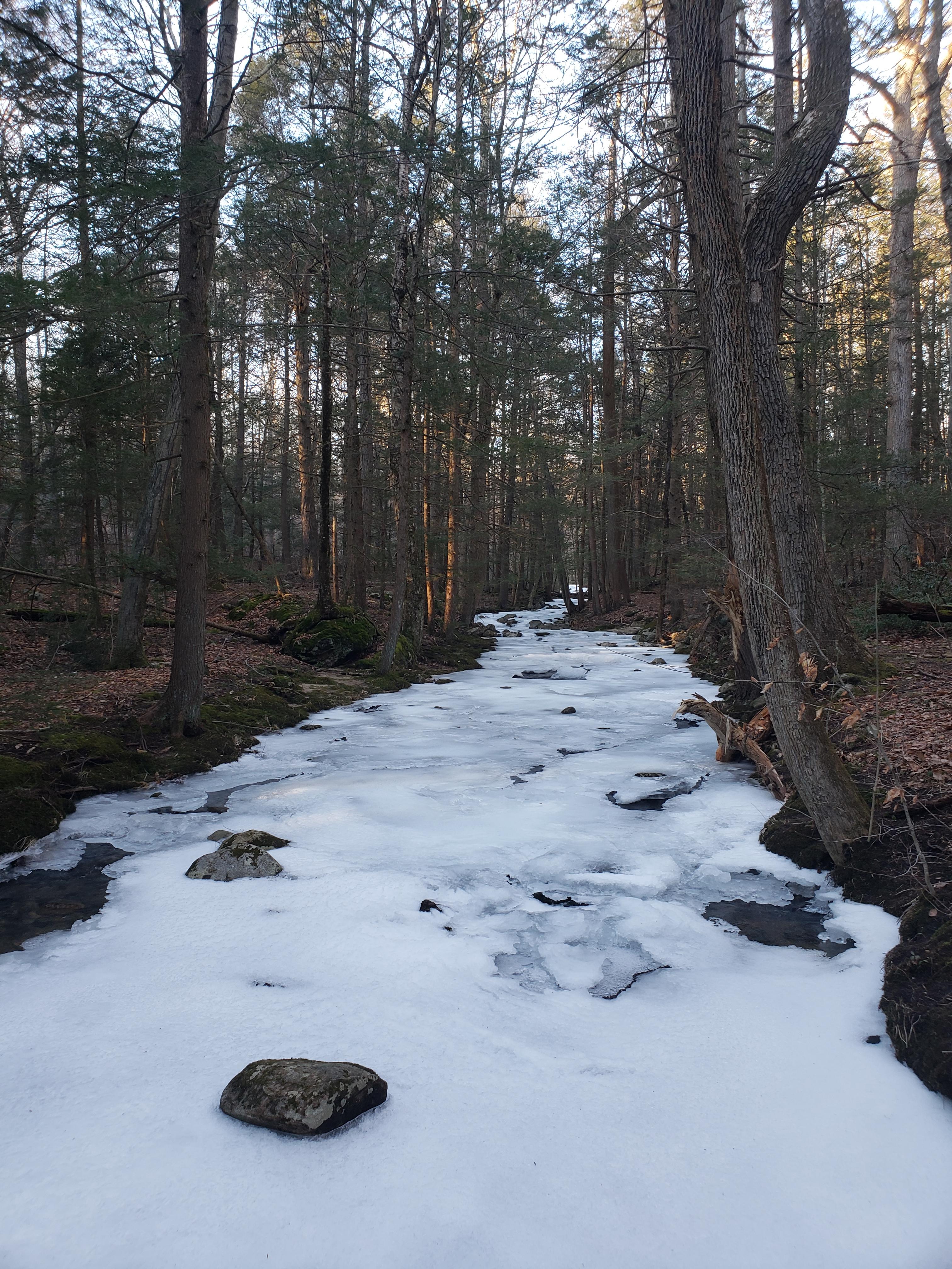 Naugatuck State Forest r/Connecticut