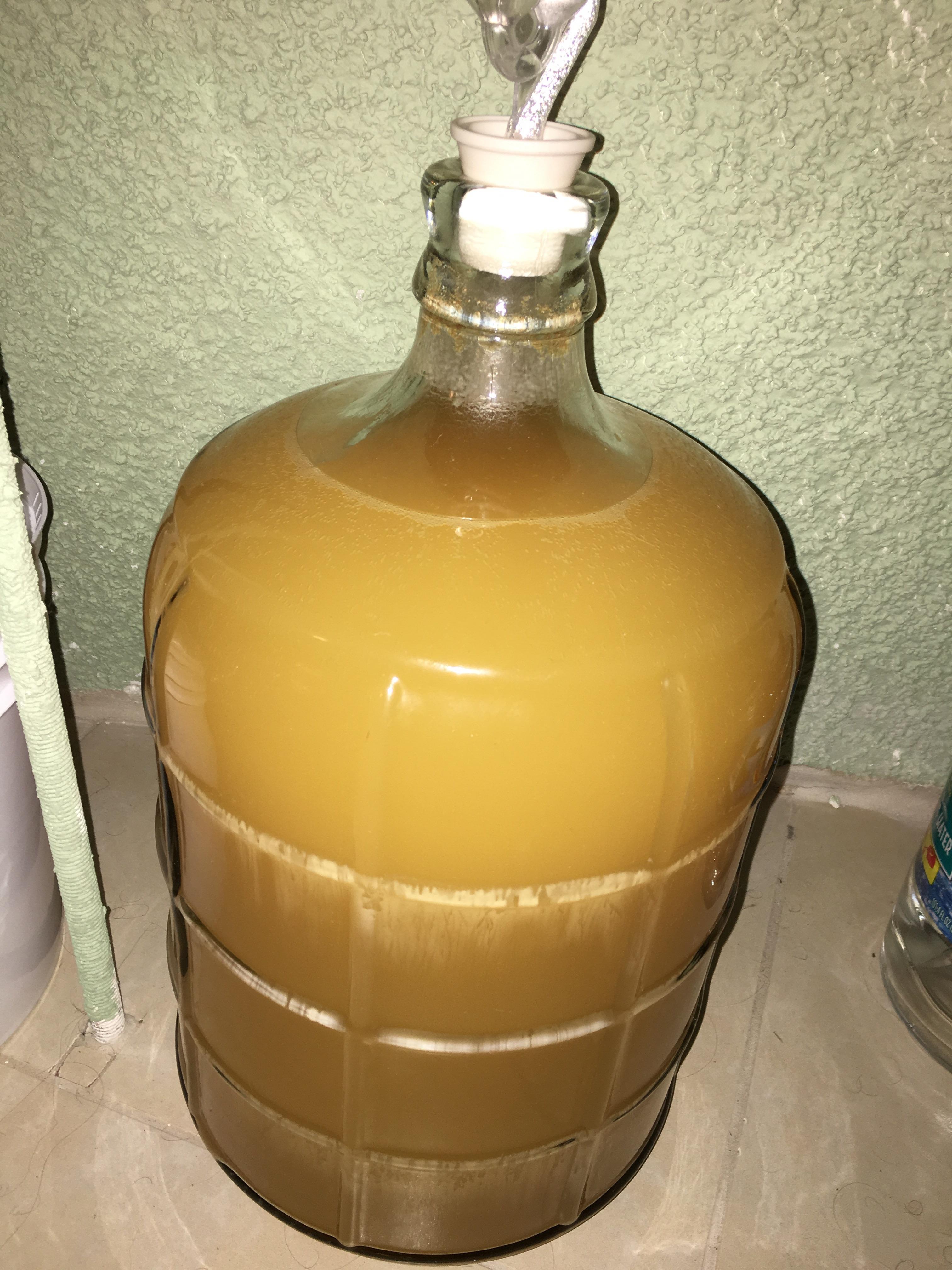 5 days after fermentation began,some material started forming on the