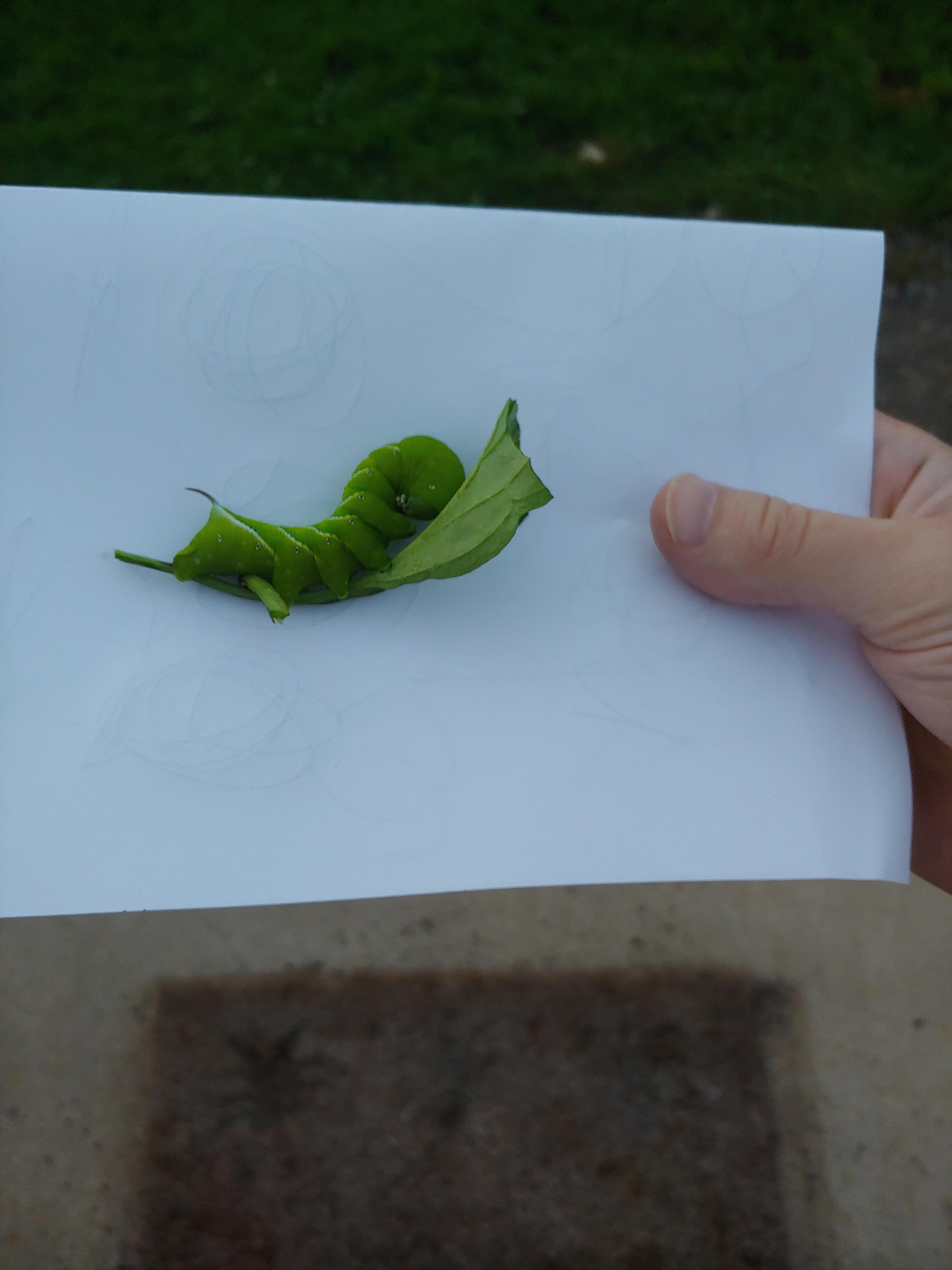 Just_A_Damping_ Overview: