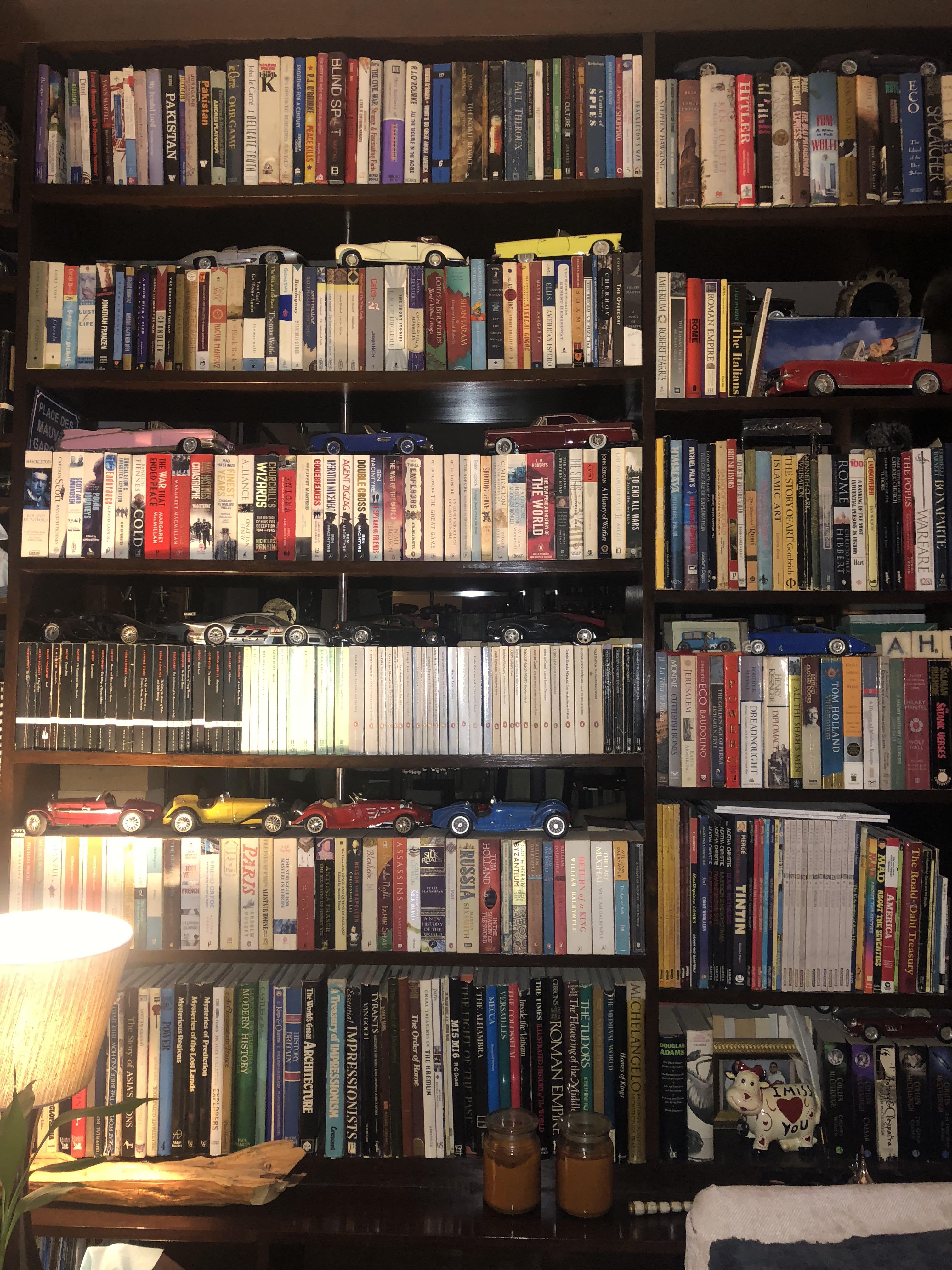 My bookshelves, curated to size/subject matter, with knickknacks and momentos thrown in r
