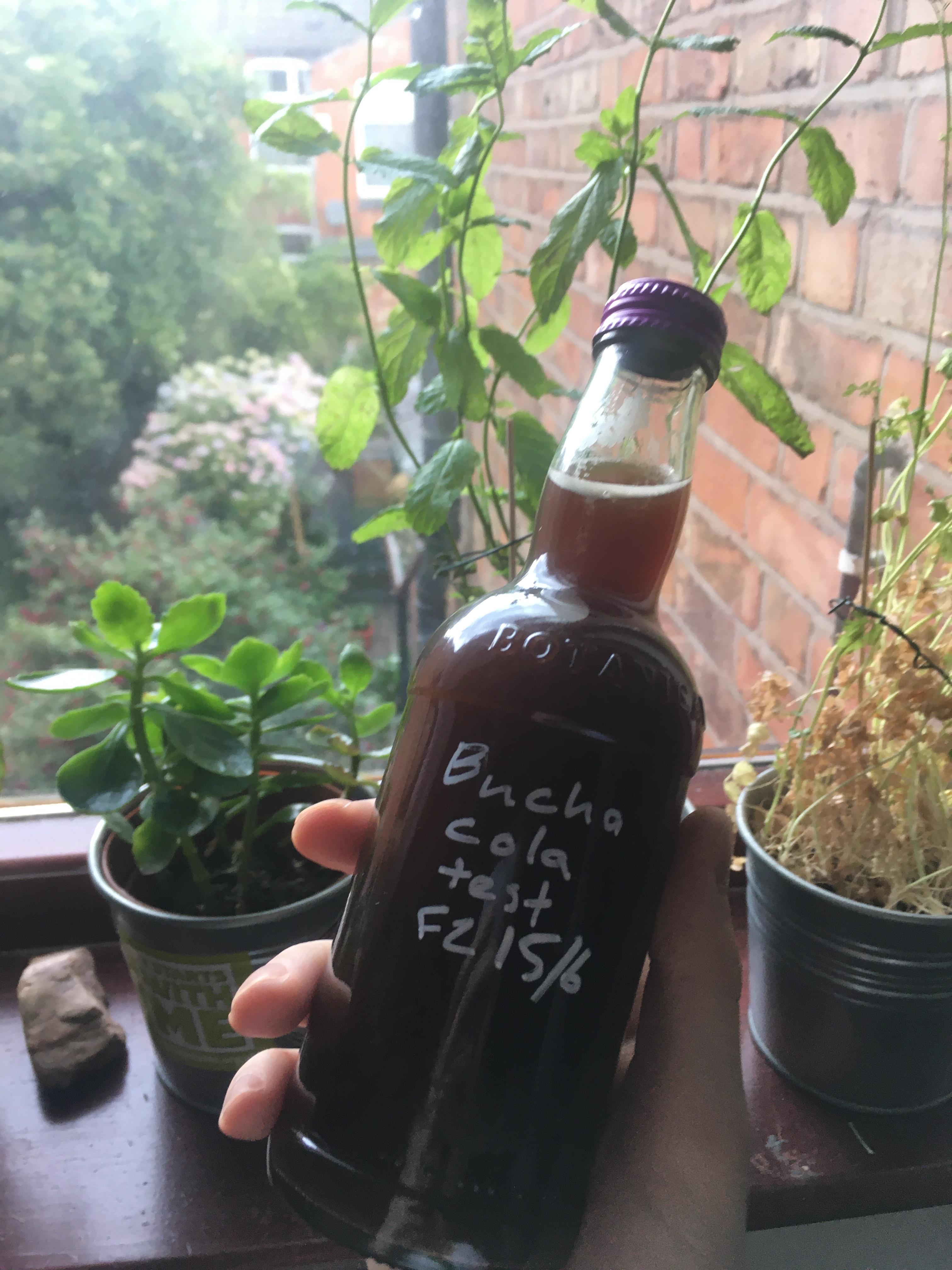 Commercial syrups ?? r/Kombucha