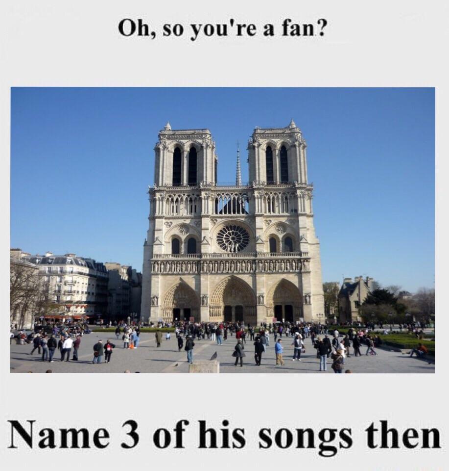 Fake Fans r/dankmemes