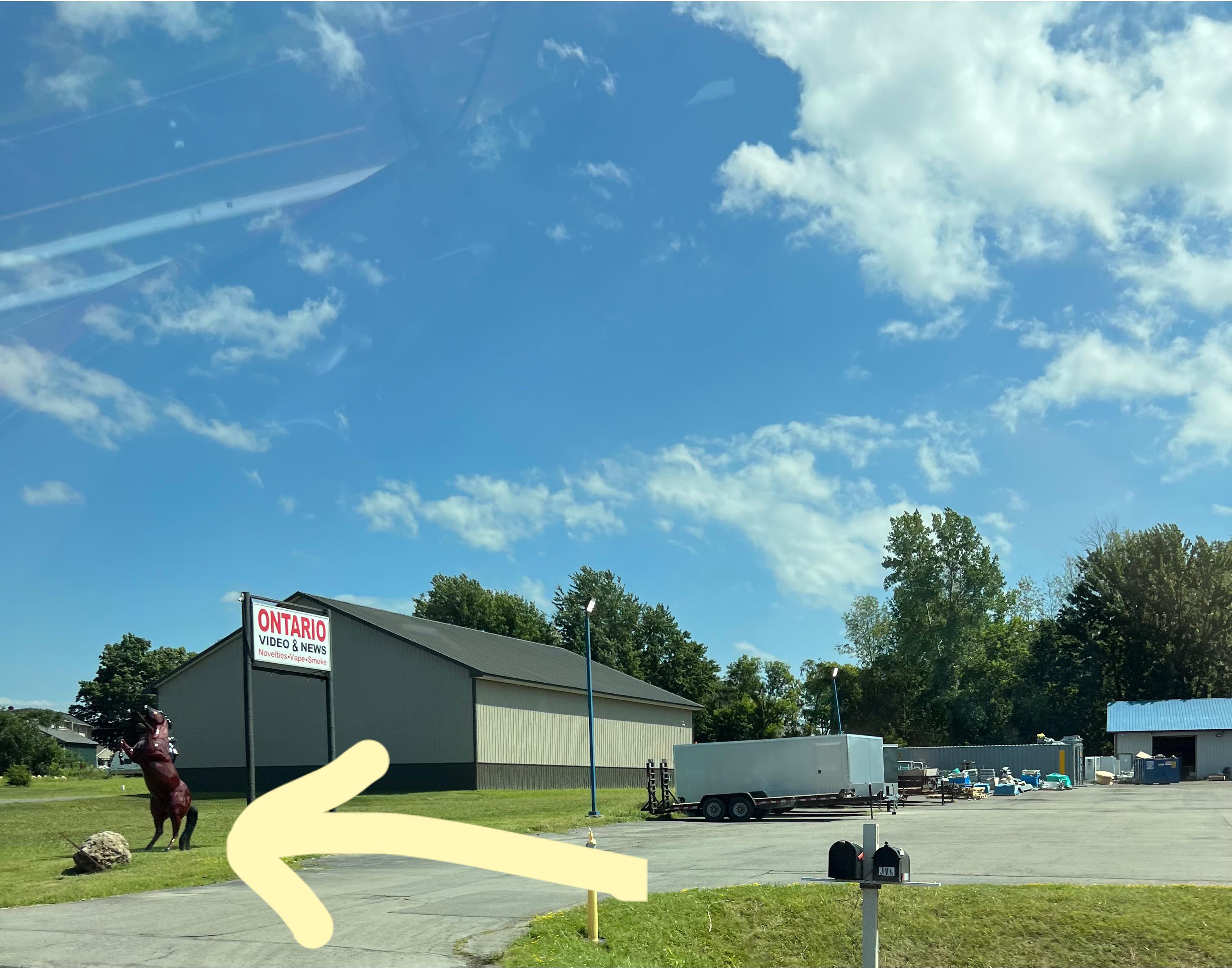 Does anyone know why there are so many random animal statues everywhere