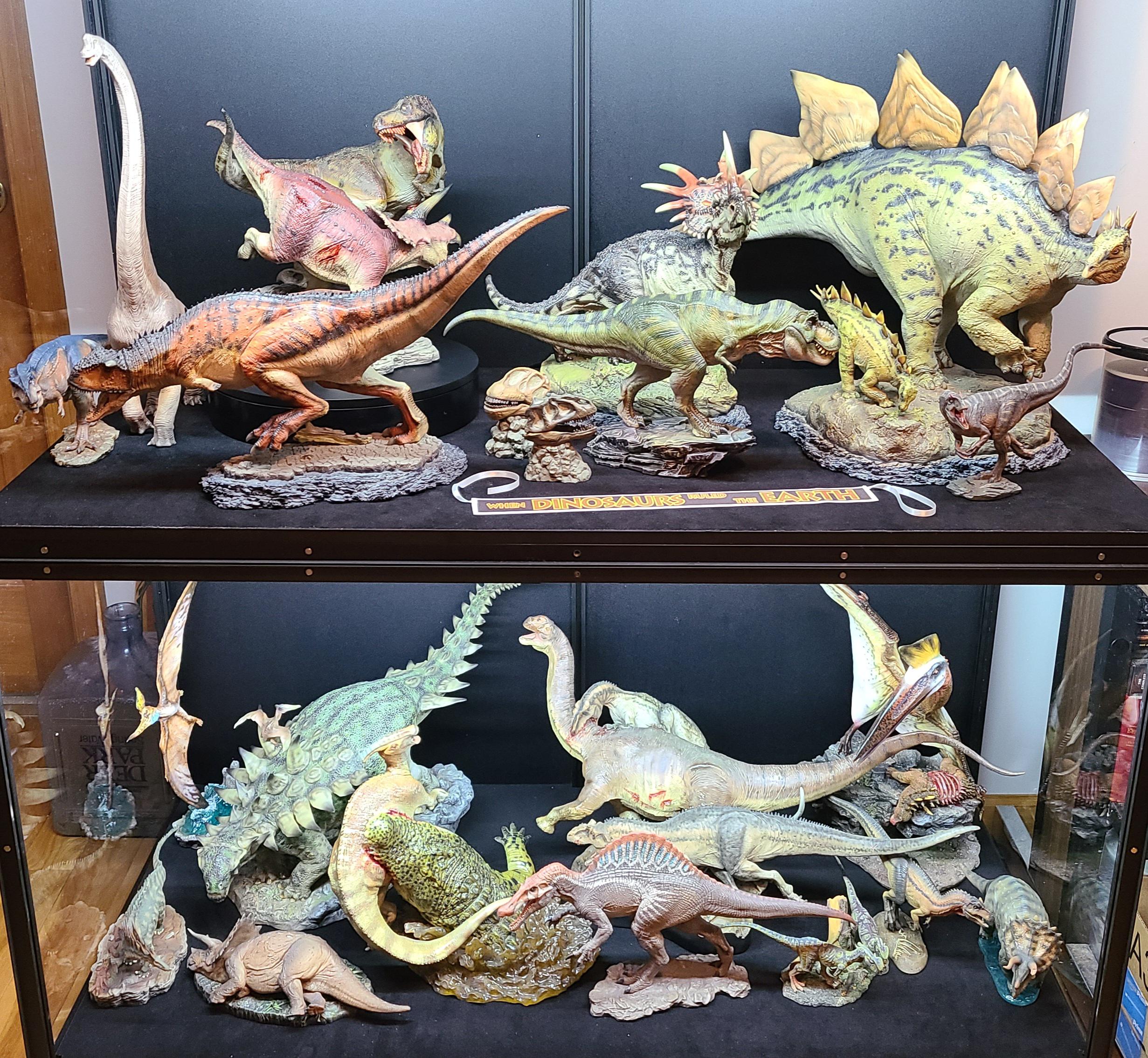 After 12 years of collecting, I'm finally able to properly display my