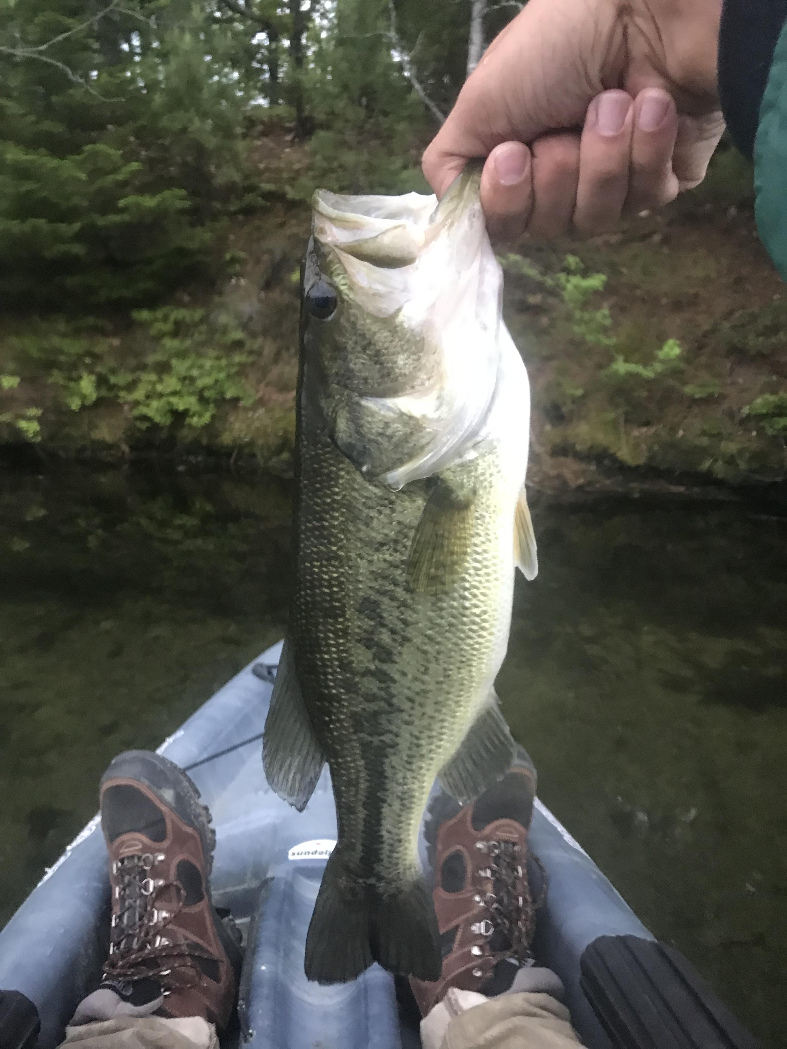 Kayak fishing near Portland, Maine! Caught my new PB bass. r/Fishing