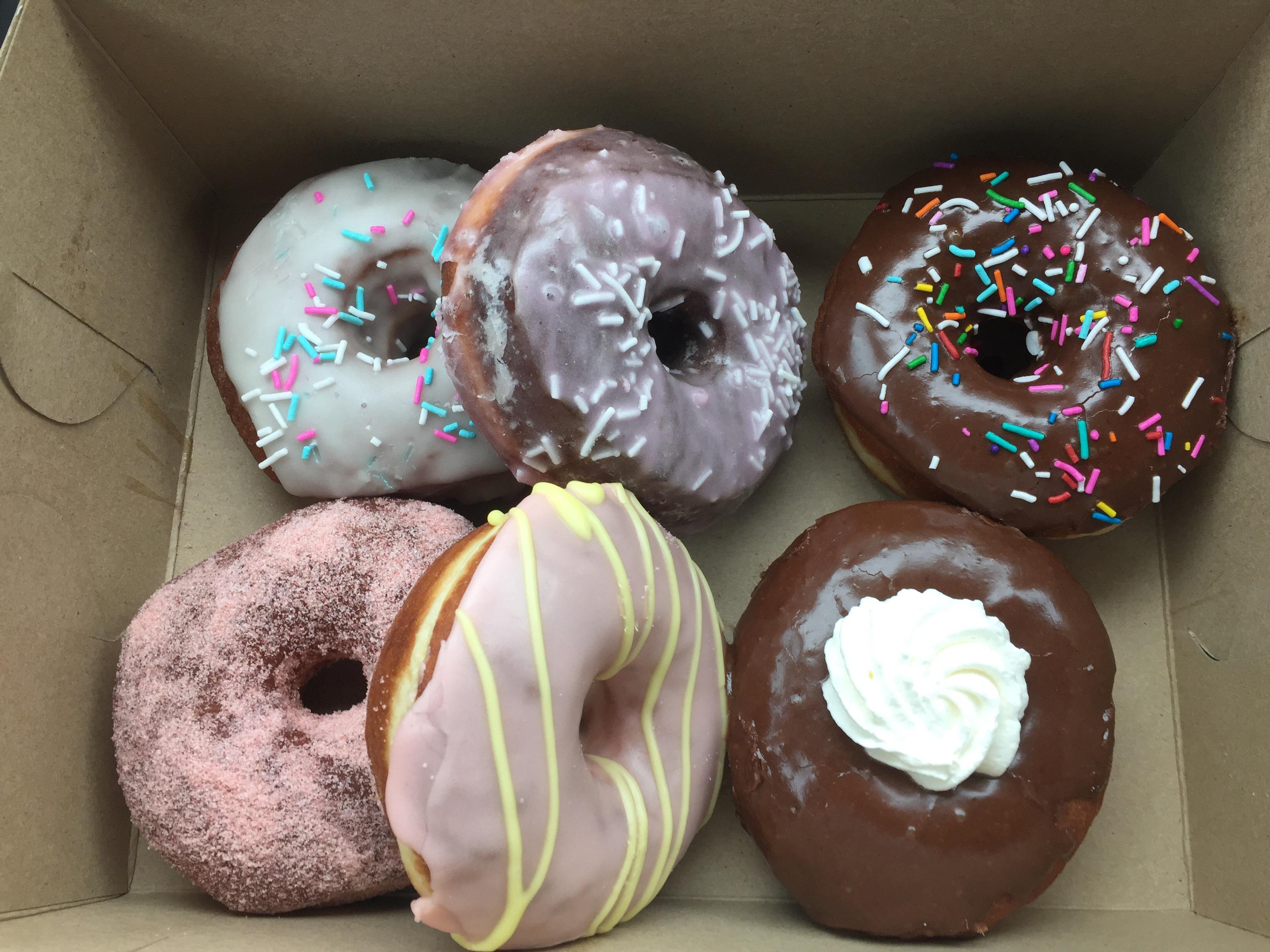 Not a great picture, but vegan donuts from Fry Baby Donuts in Buffalo