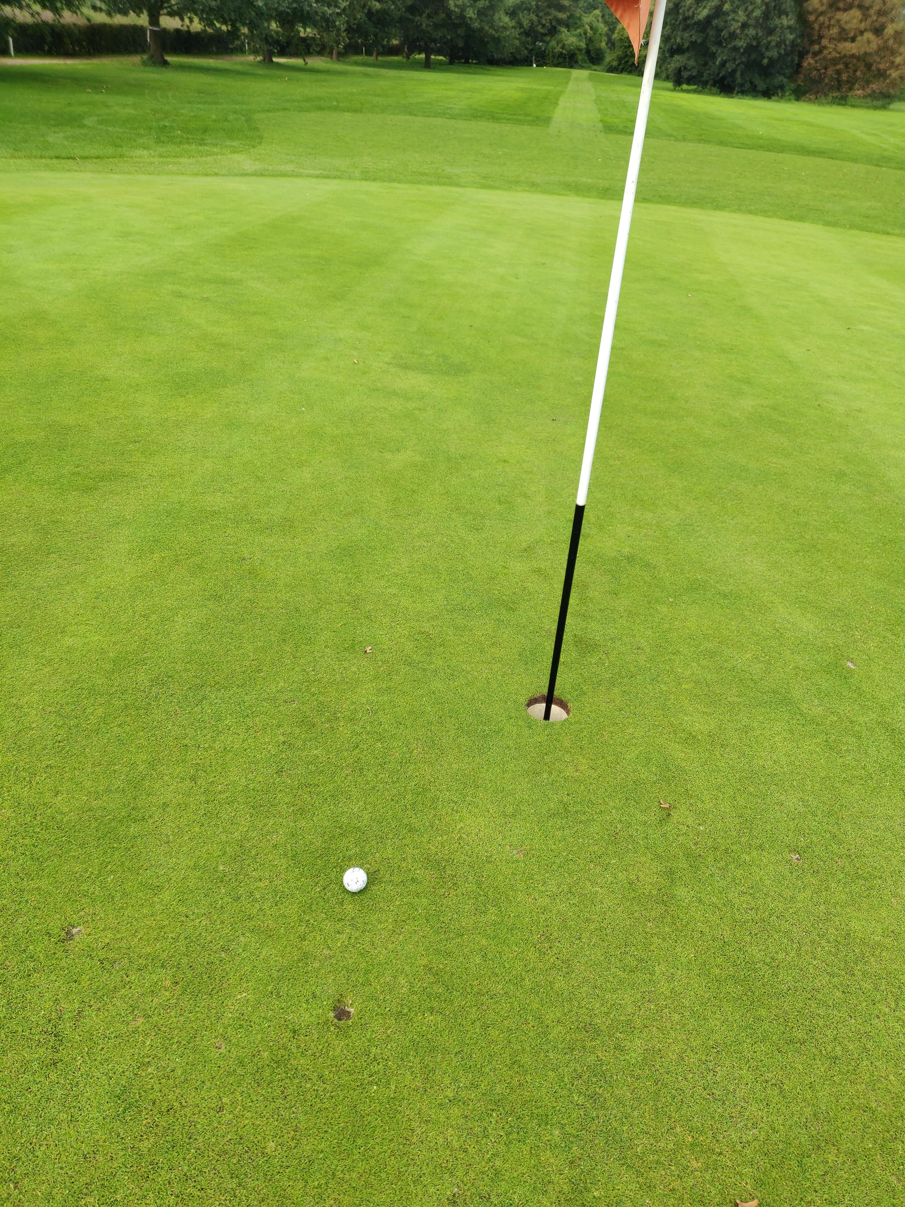 So close, yet so far away... golf