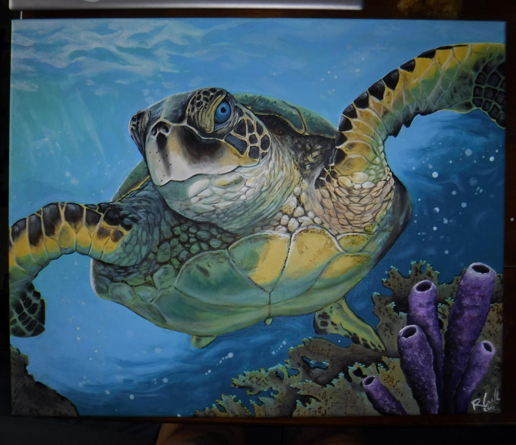 Green Sea Turtle, acrylic, 18"x 24", 2017 Art