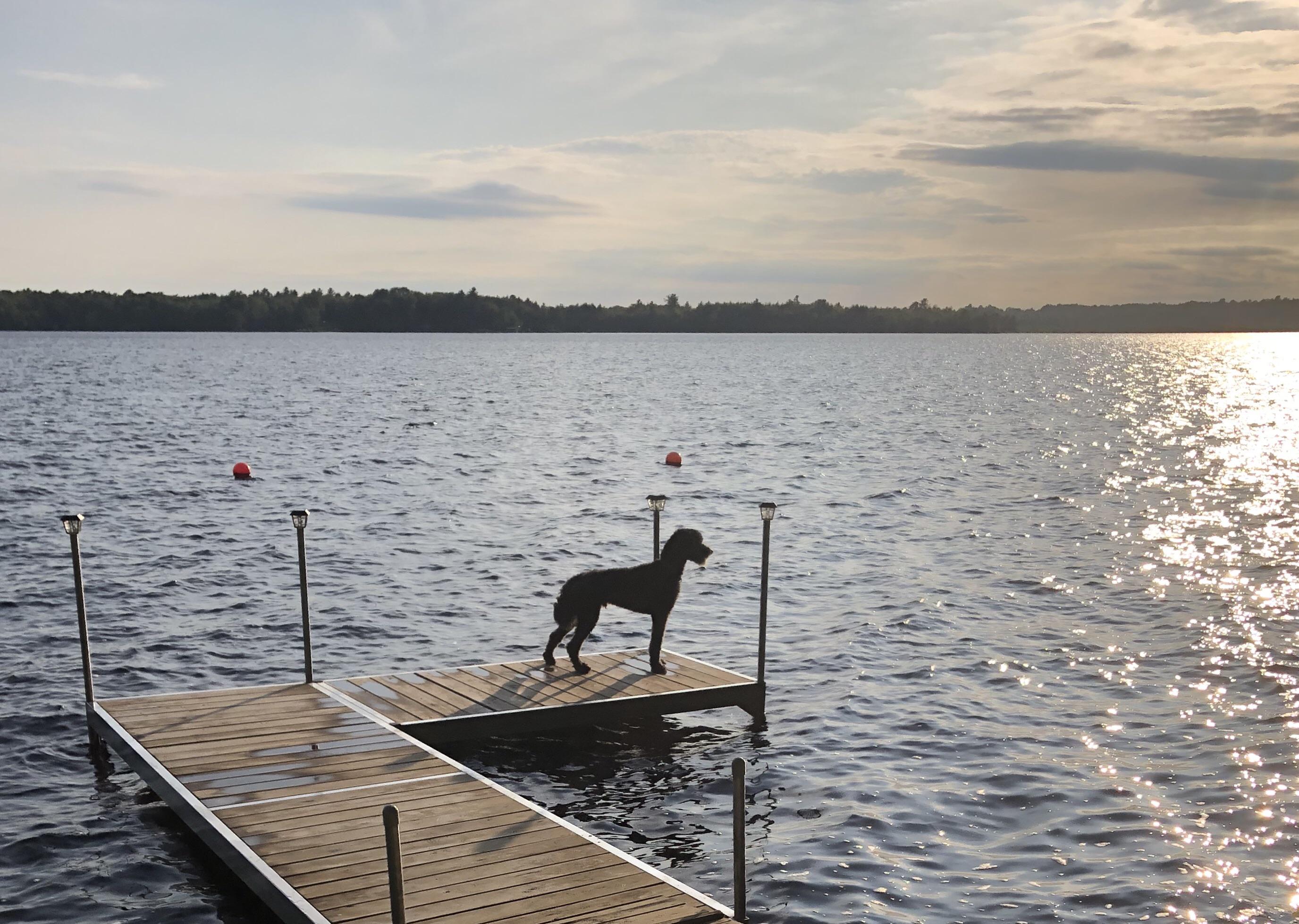 Lake Pushaw cabin view r/Maine