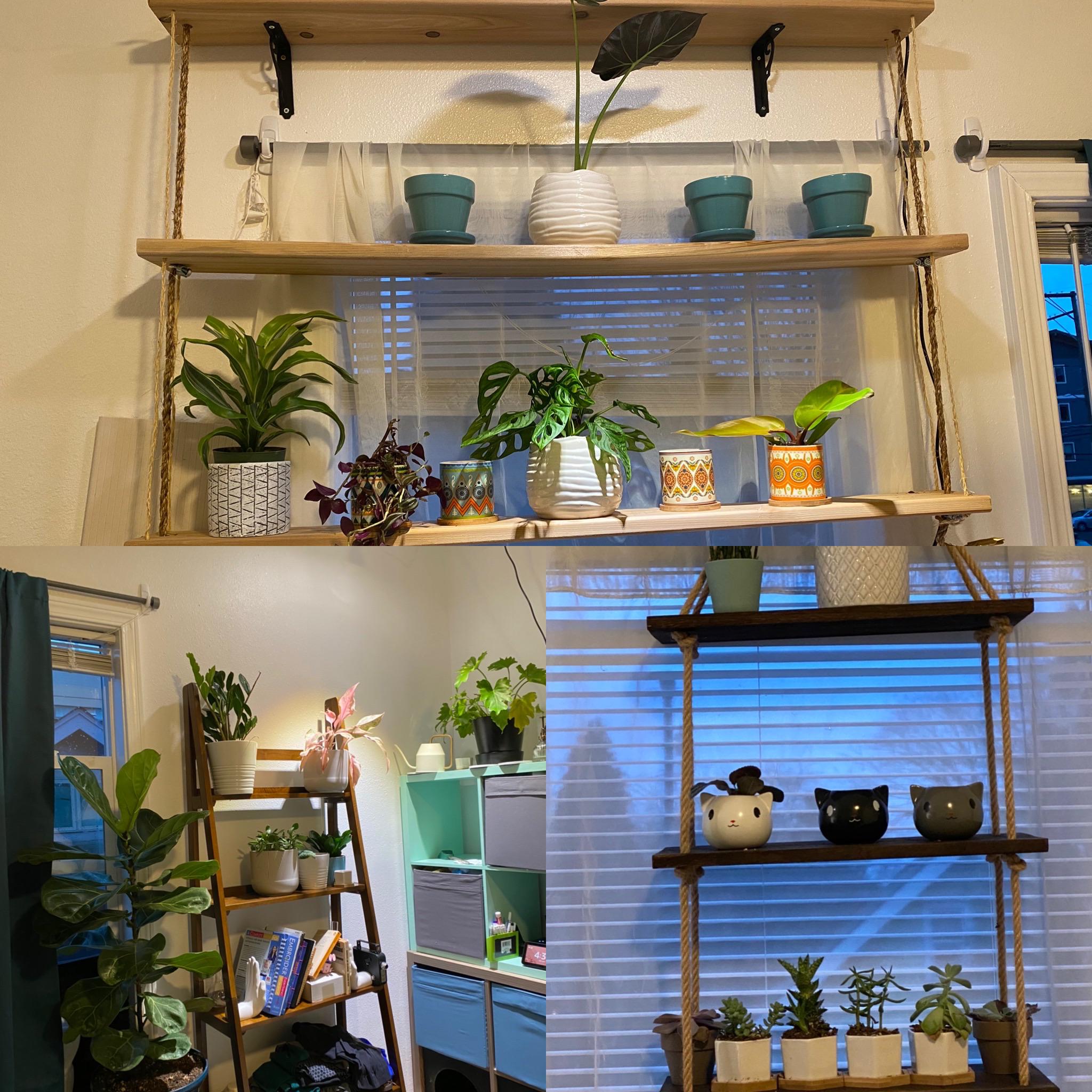 My “nearly” cat proof indoor gardens r/Portland