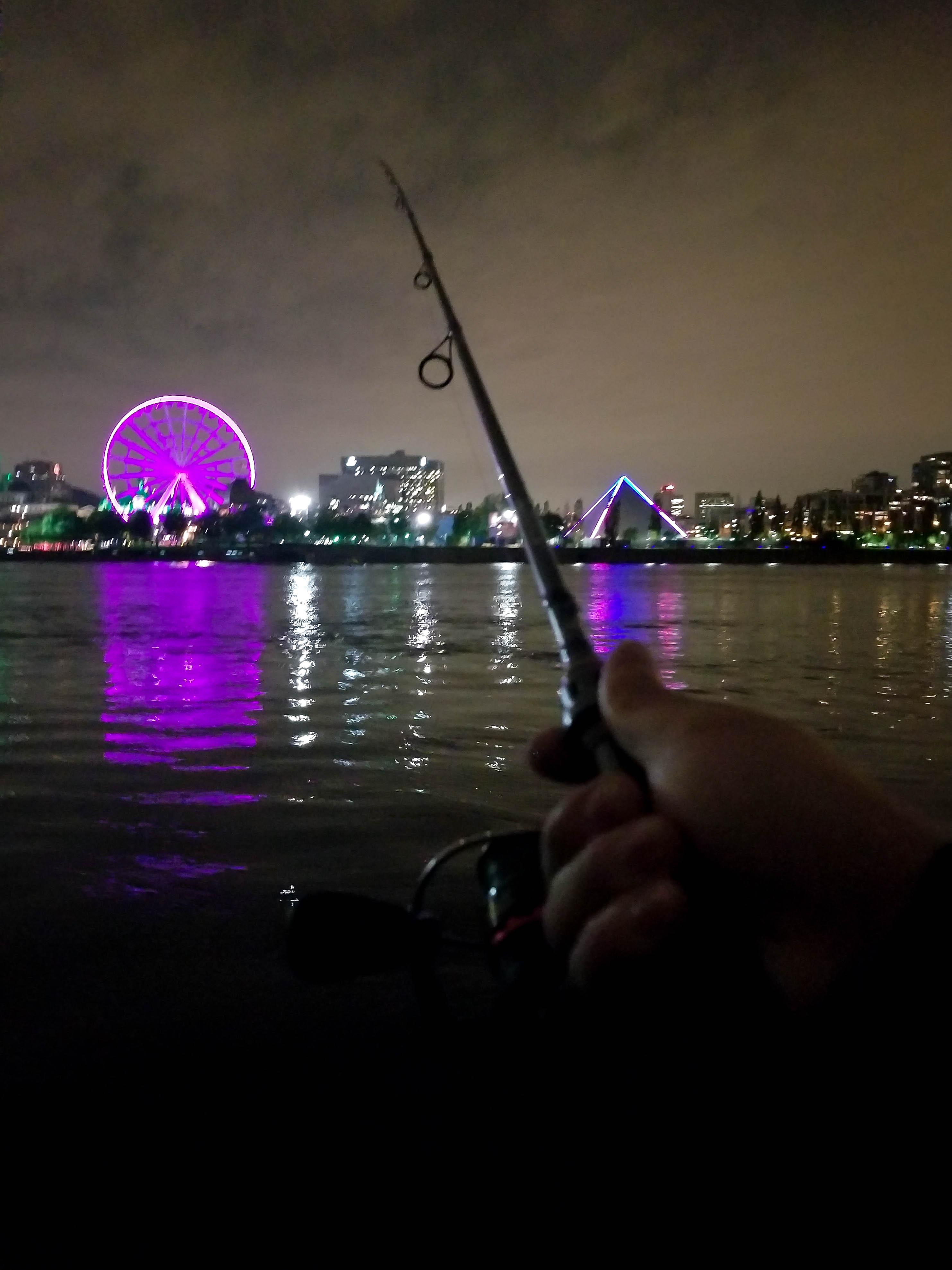 This night fishing view... r/Fishing