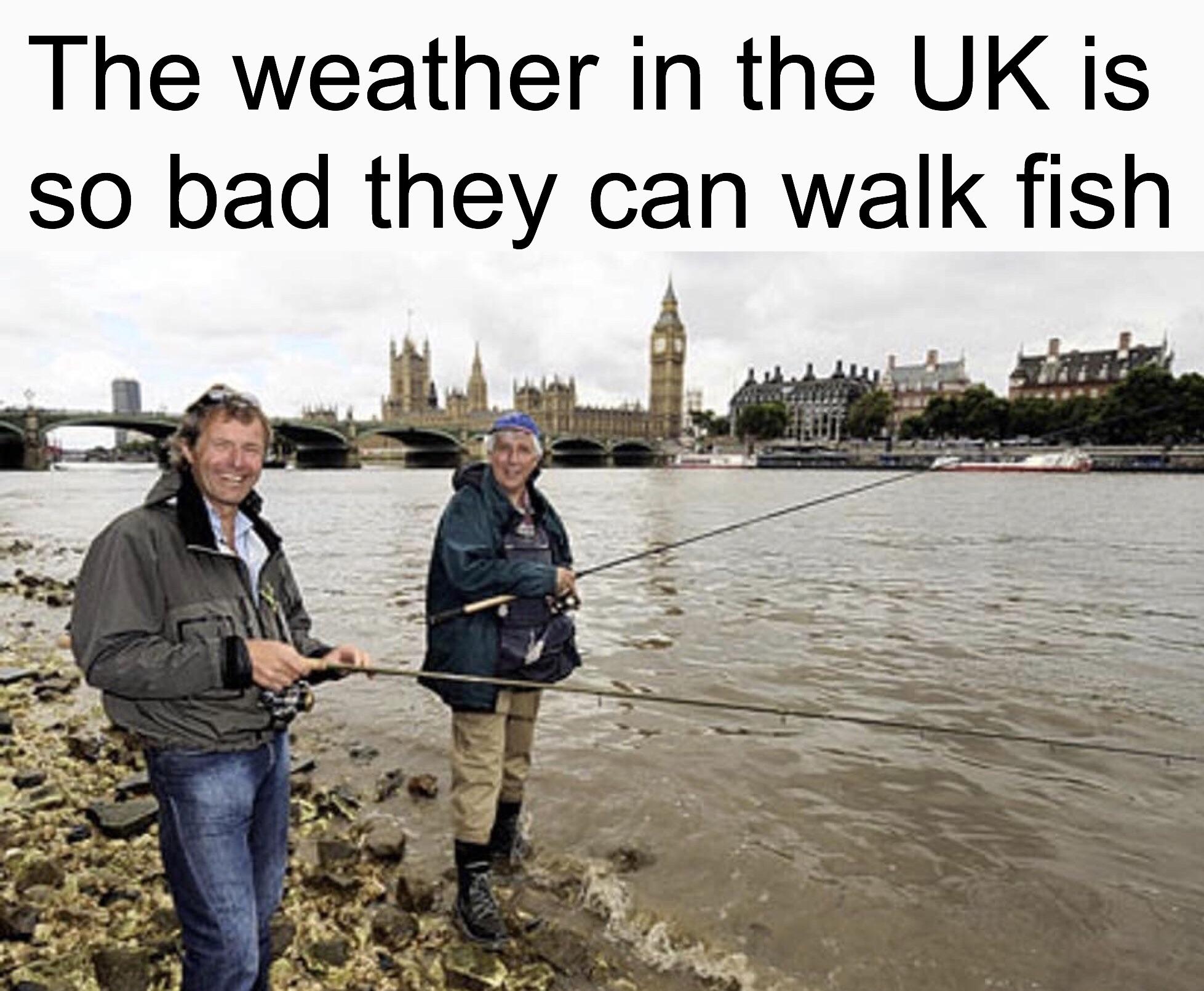 I’m from Britain, can confirm I have pet fish. r/Meme_Battles