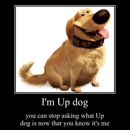 i'm up dog AMA (except for what up dog is because i already told you it