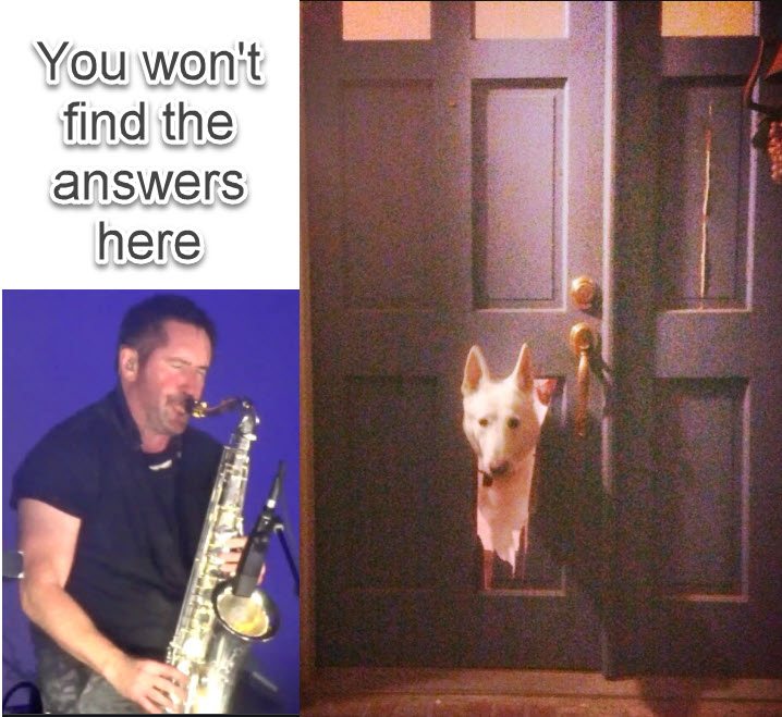 Dog break down the door. r/nincirclejerk