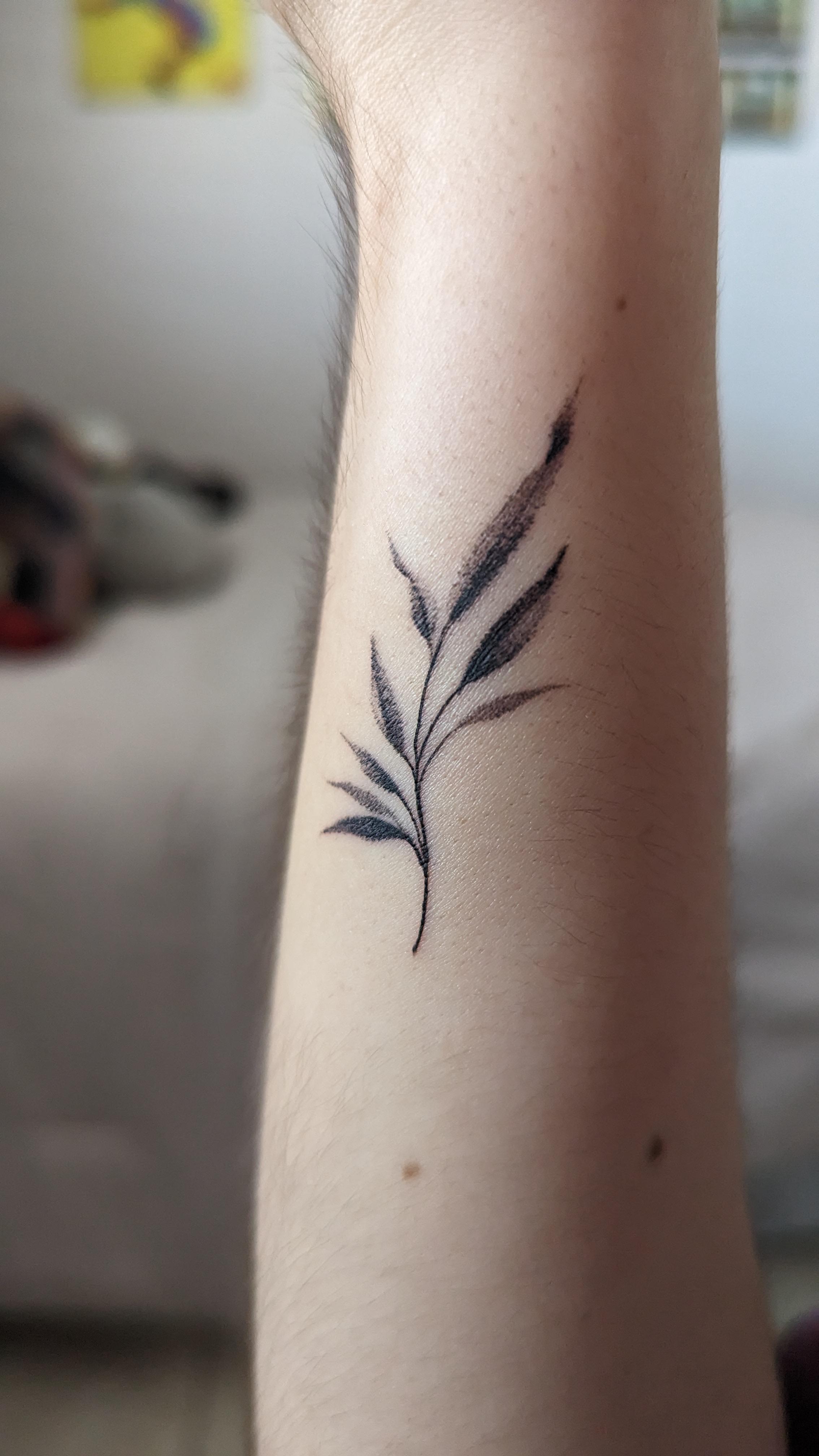 A little botanical done by Salamandra ink on Tattoo House Studio