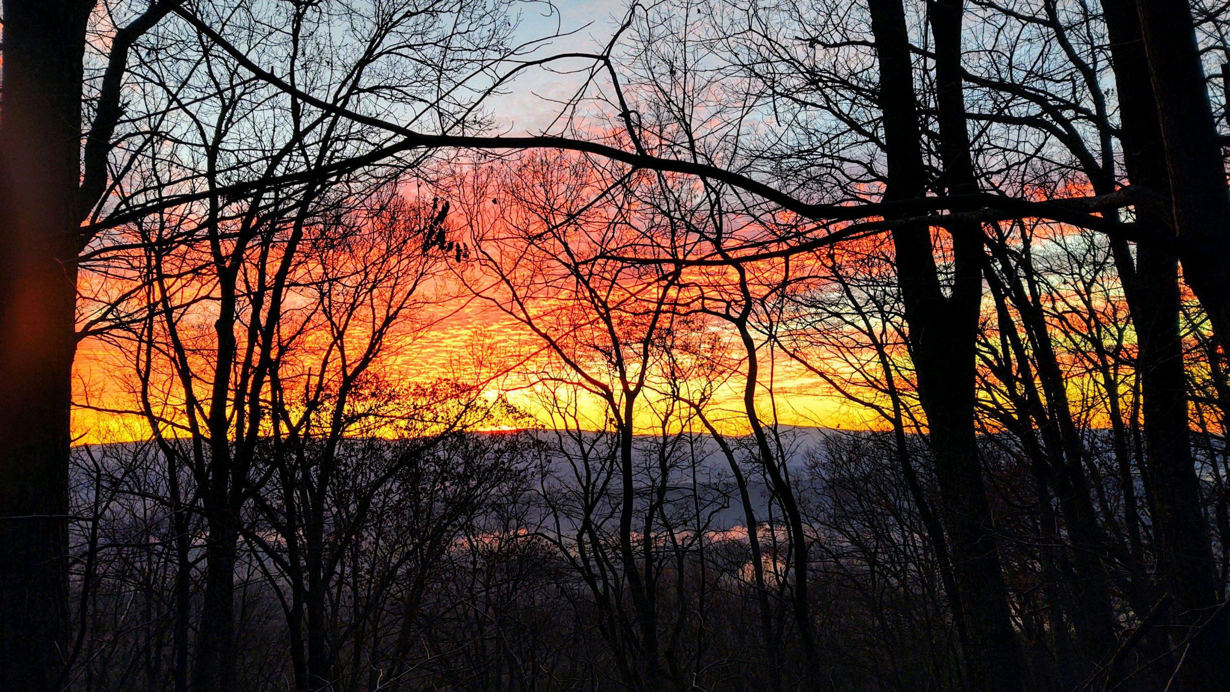 Sunrise from a tree stand Glen Wilton, Va. USA