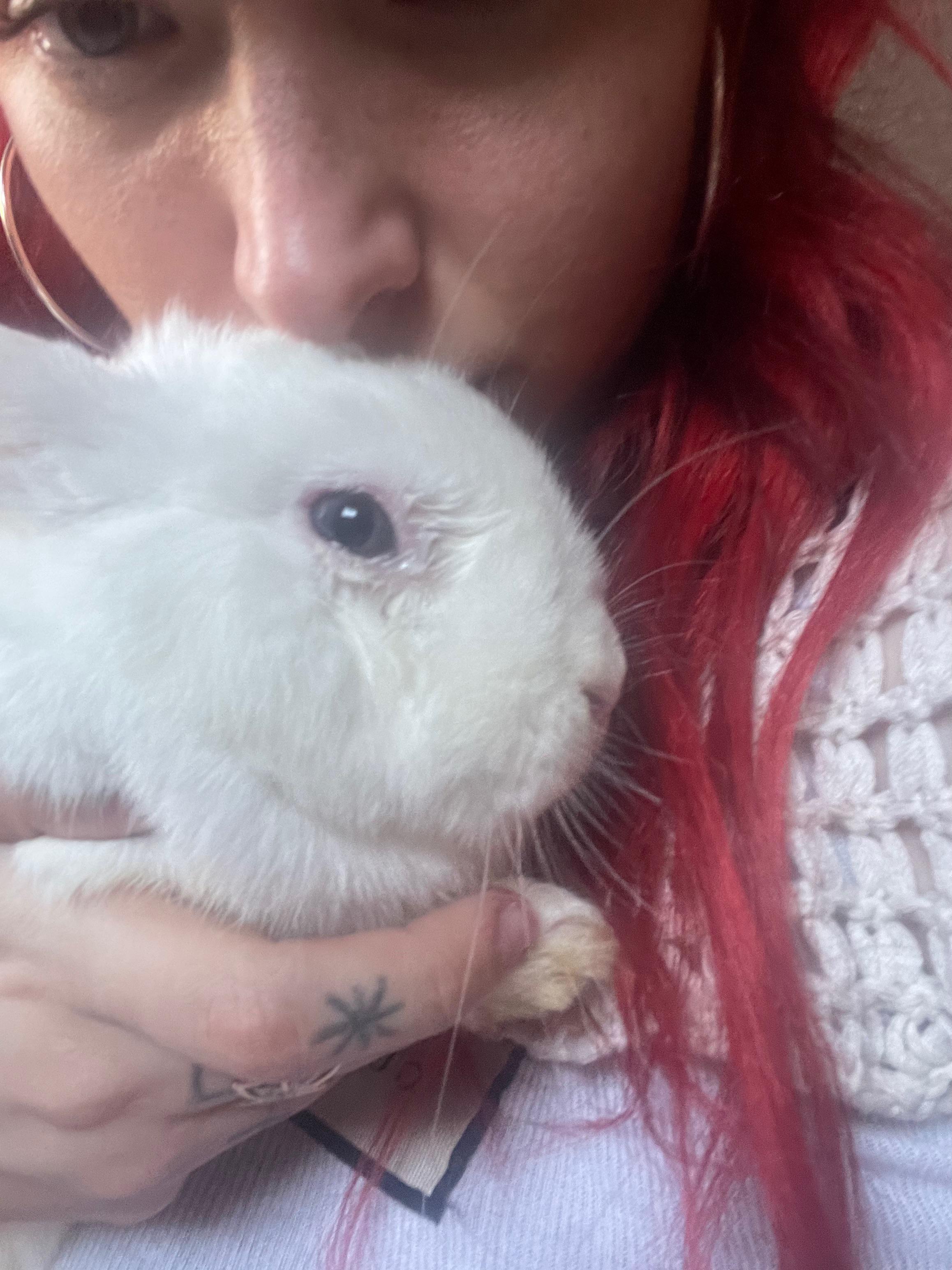 Bunny with a weepy eye please help (more info below) r/Rabbits
