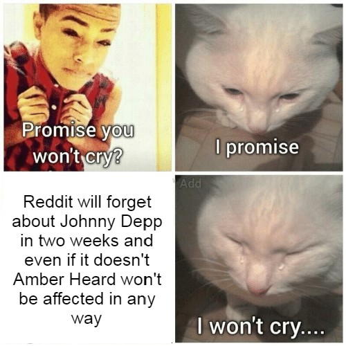 Promise you won't cry MemeTemplatesOfficial