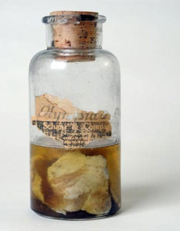 One of the preserved meat from 'The Kentucky meat shower' incident