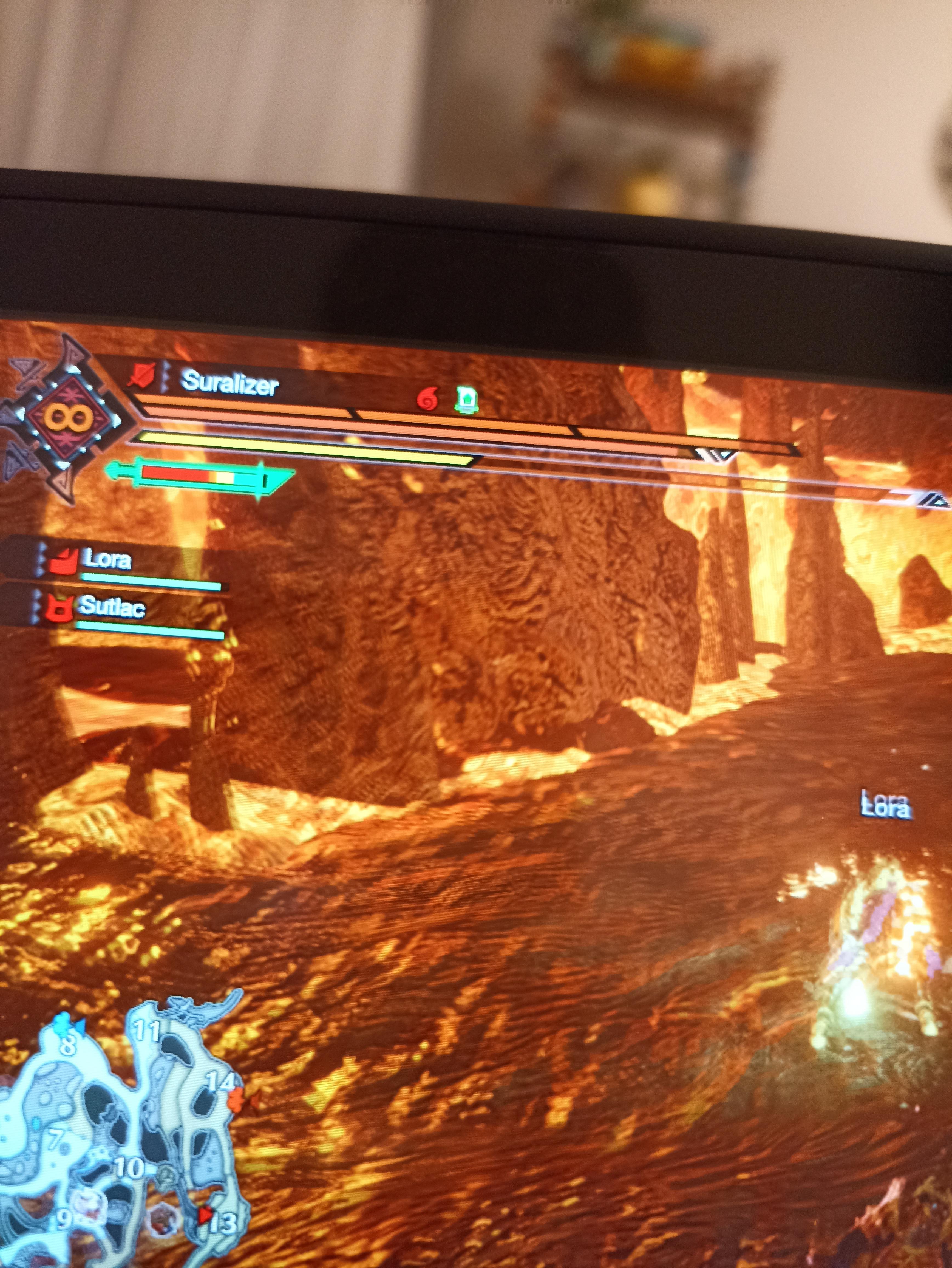 What're those bars filled with red above my health bar? r/MonsterHunter
