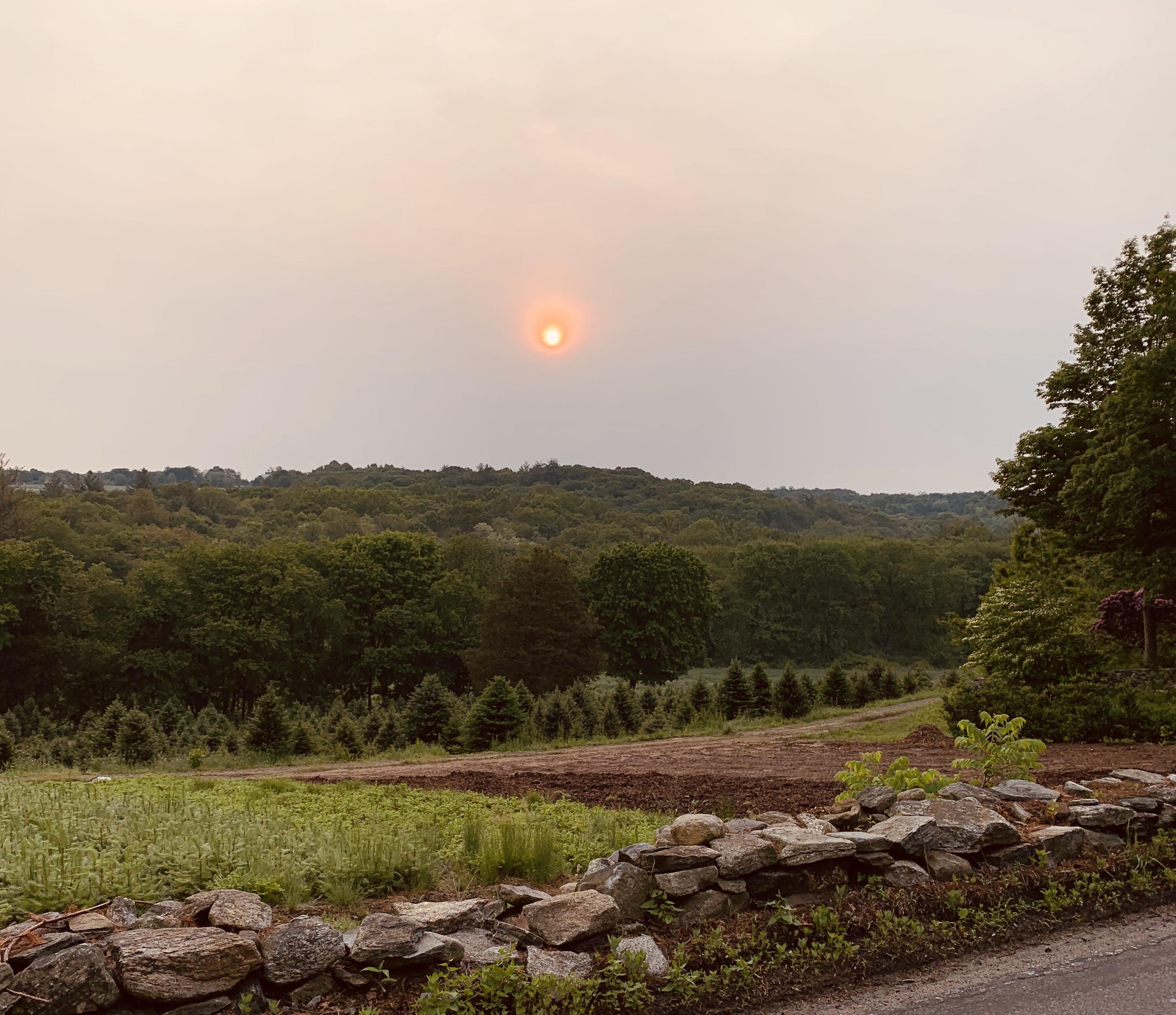 Today’s sunrise over Jones’ Tree Farm, Shelton r/Connecticut