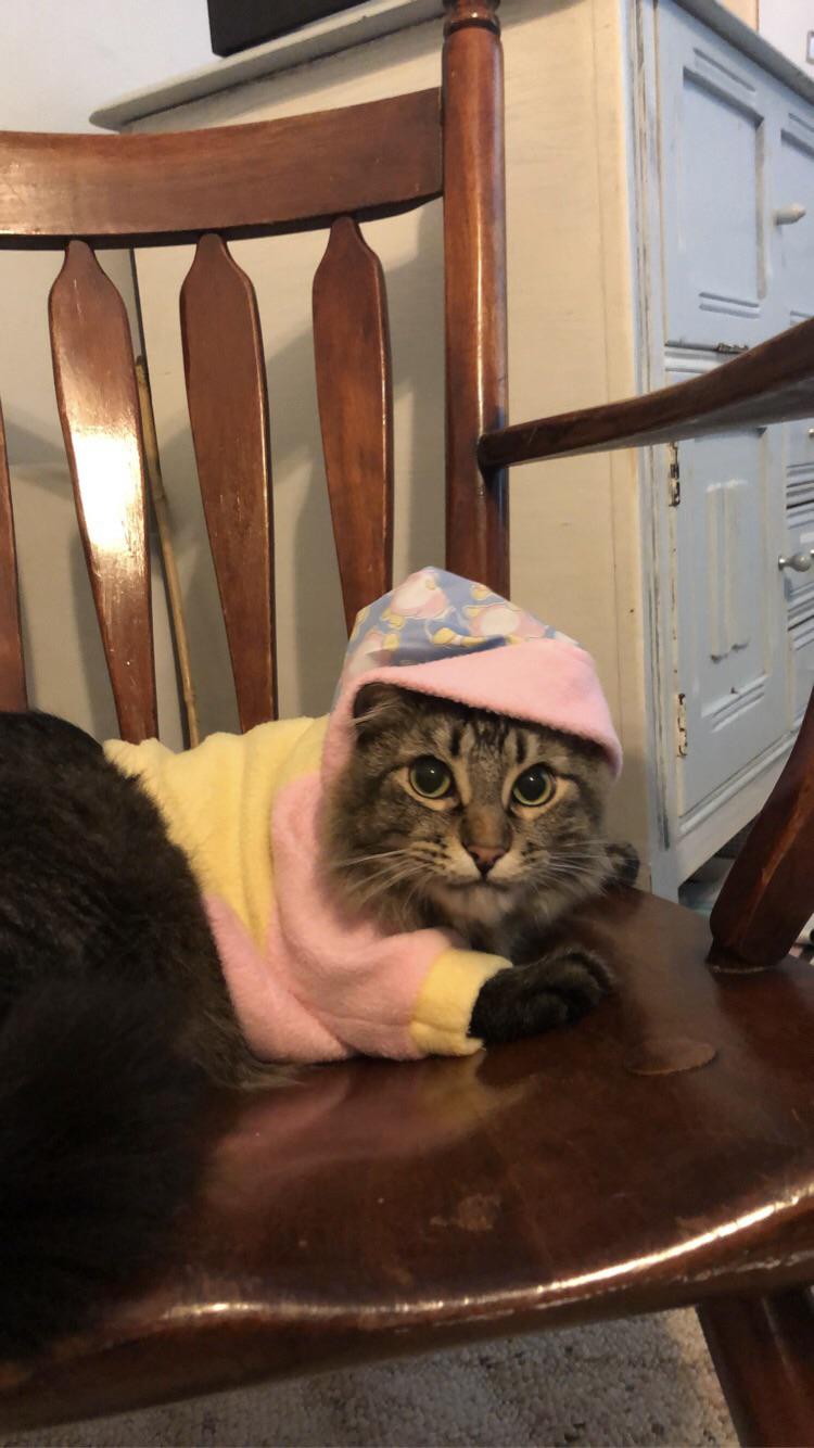 Today, I discovered that Kosher fits perfectly into my baby clothes