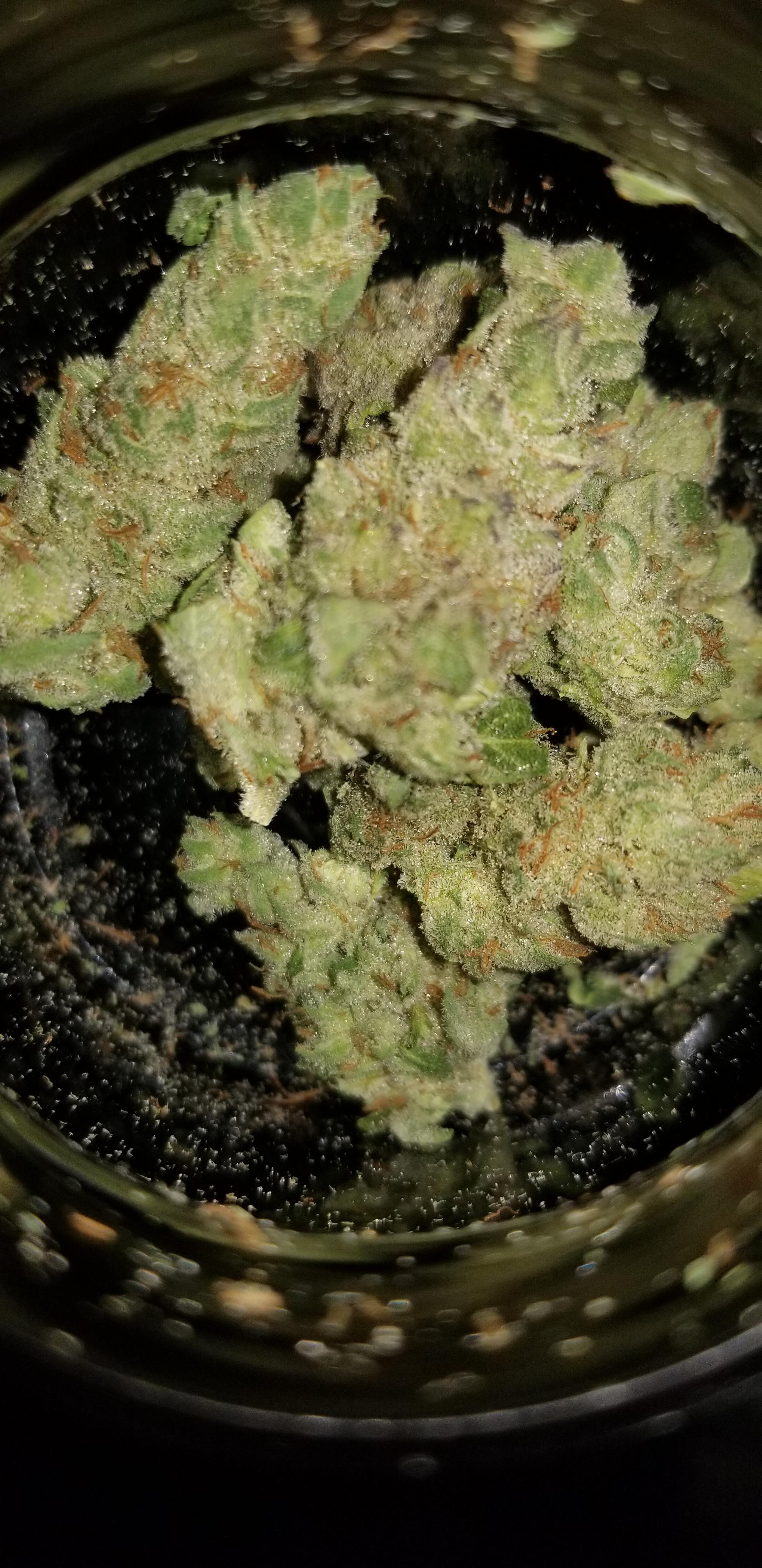 Loto Og woods reserve pic doesn't do it justice 18thc. Only one I haven't tried yet, just did