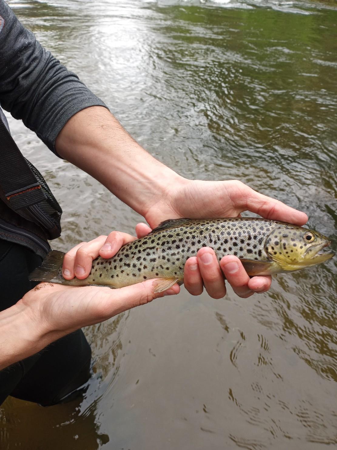 I've only been fishing for a few months so any new species is my PB