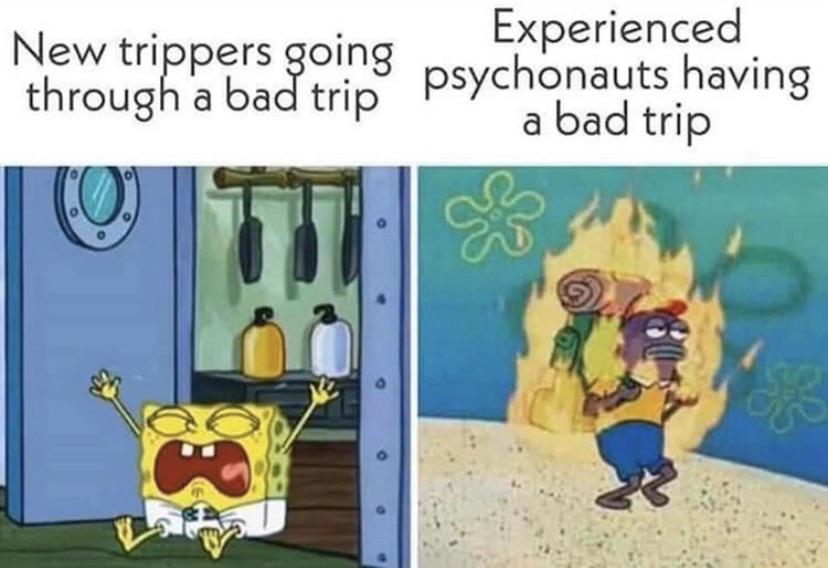 Ah shit, here we go again... Psychedelics