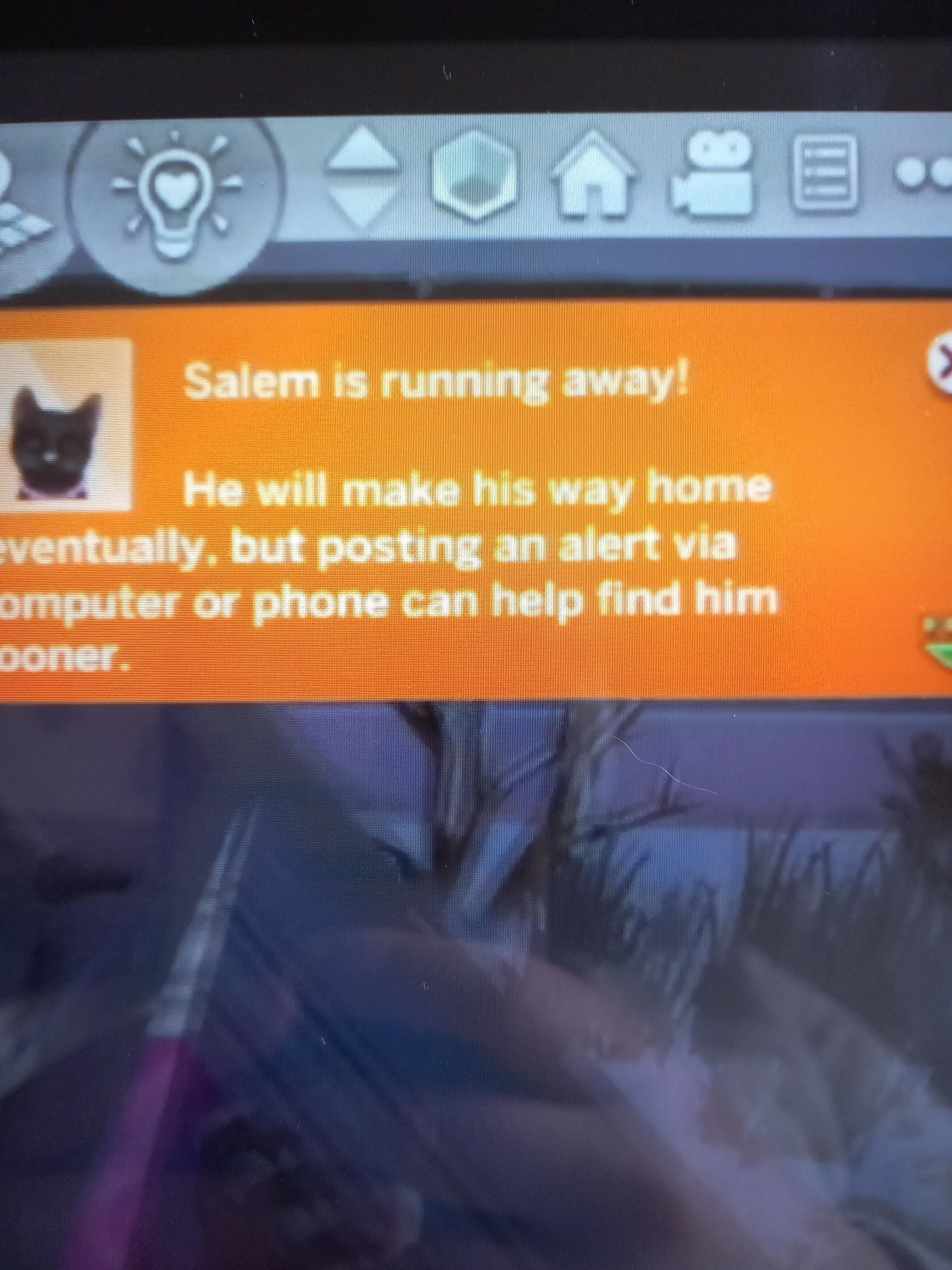 How do you make cats not run away r/Sims4