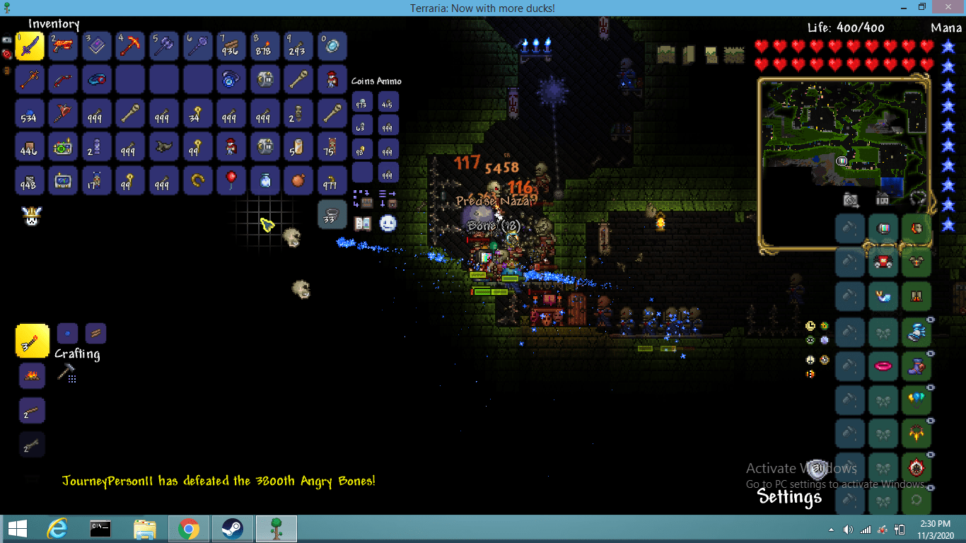 All this for a single nazar... r/Terraria