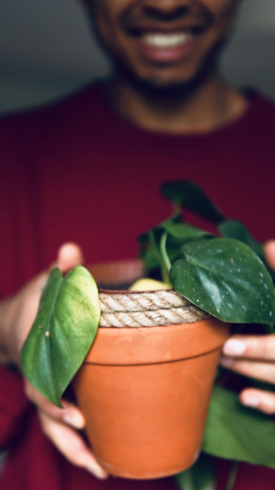 Easy way to hide the plastic pot if you can’t be bothered to repot! 🌿