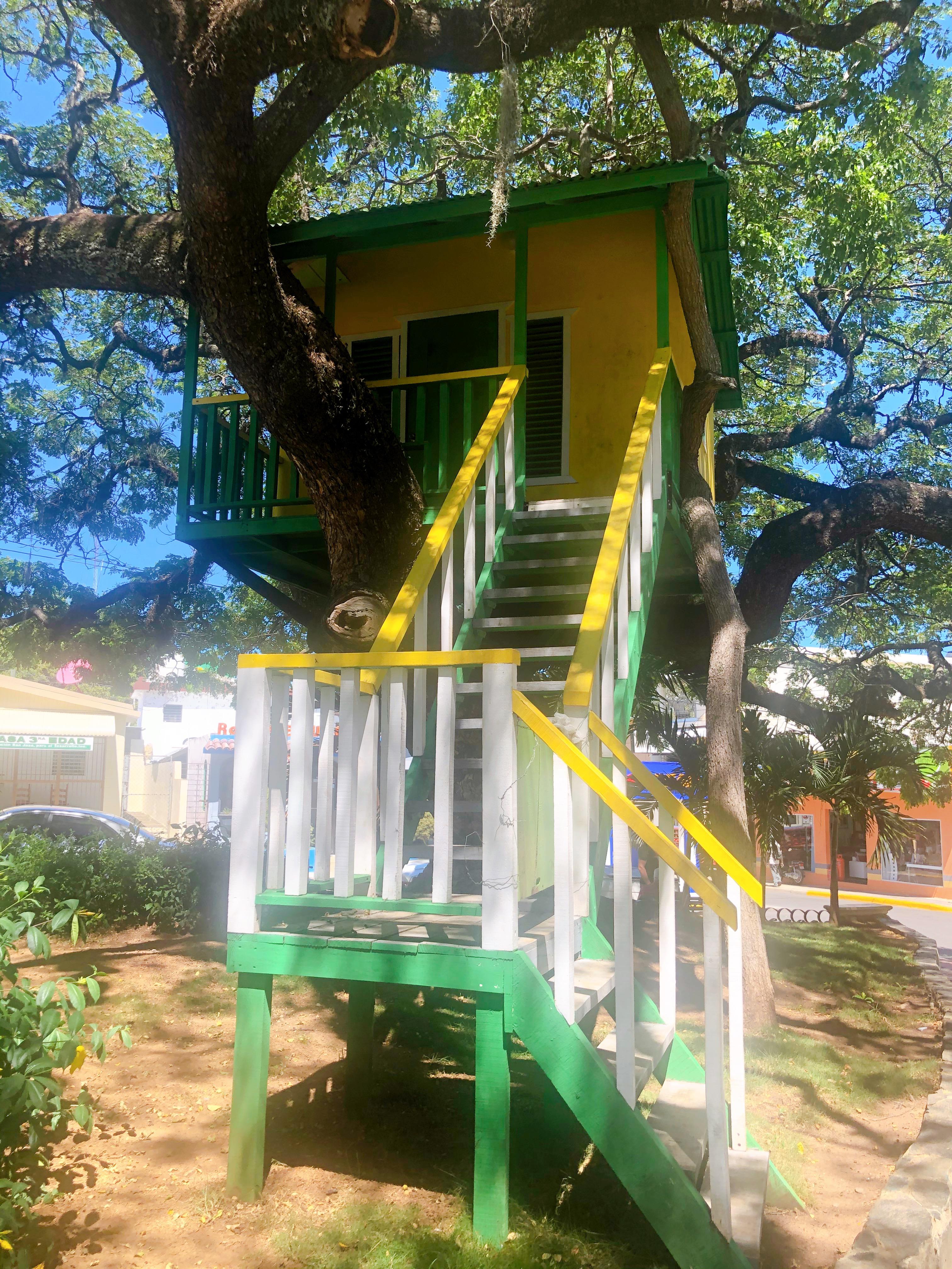 A tree house in middle of a park in San José de las Matas (Dominican