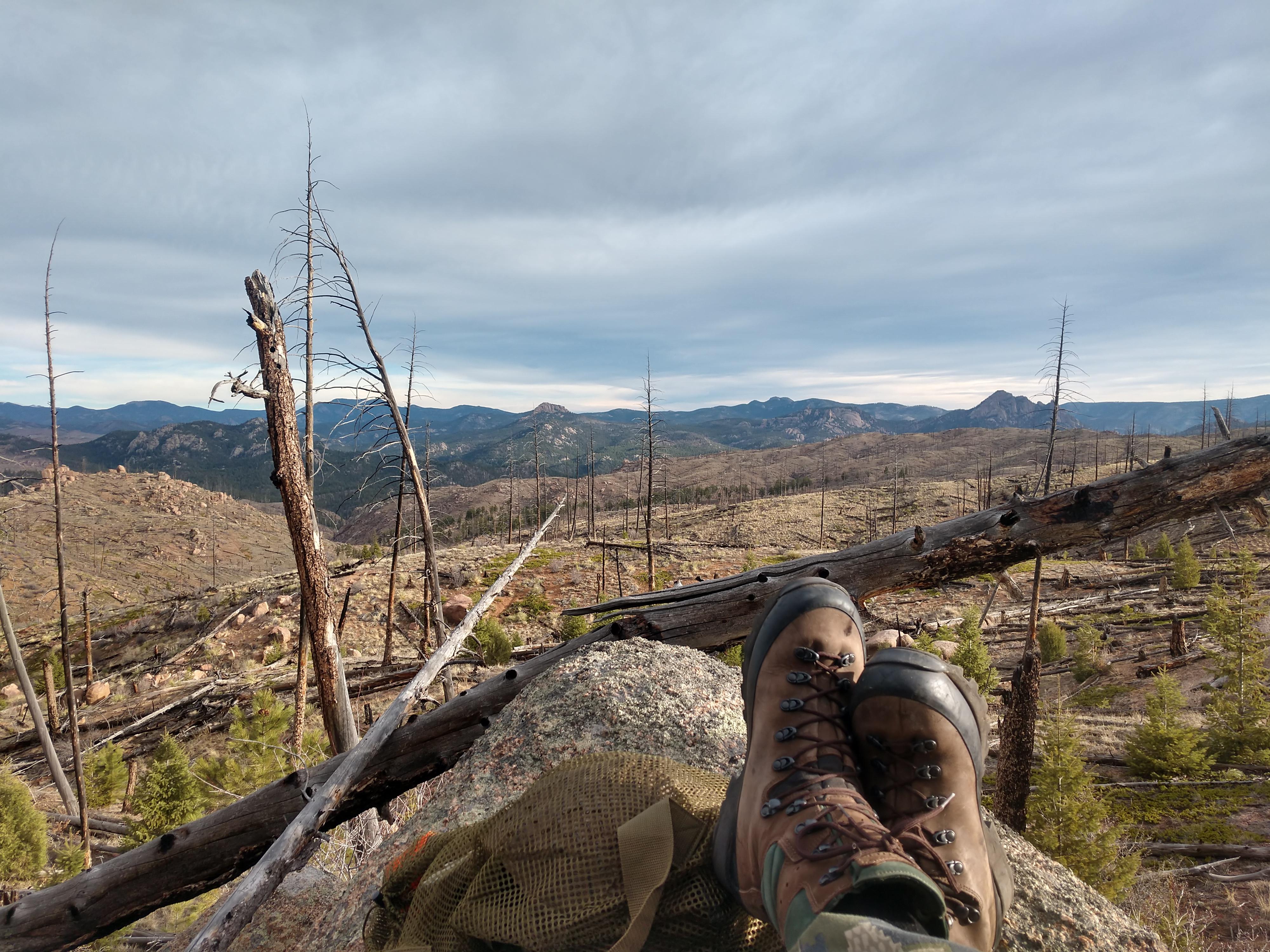 Pike National Forest, Colorado travel and rhum