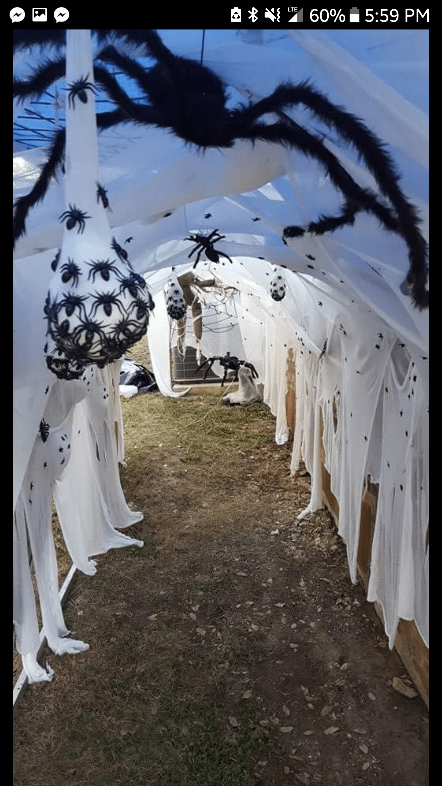 Spider web tunnel I made for home haunt. r/HalloweenProps