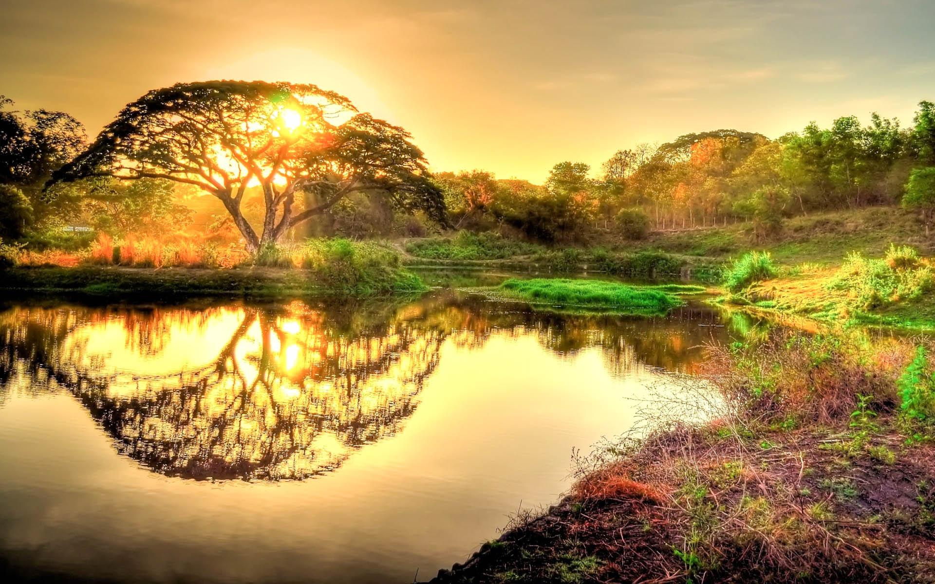 Nature Wallpaper! [1920x1200] r/wallpaper