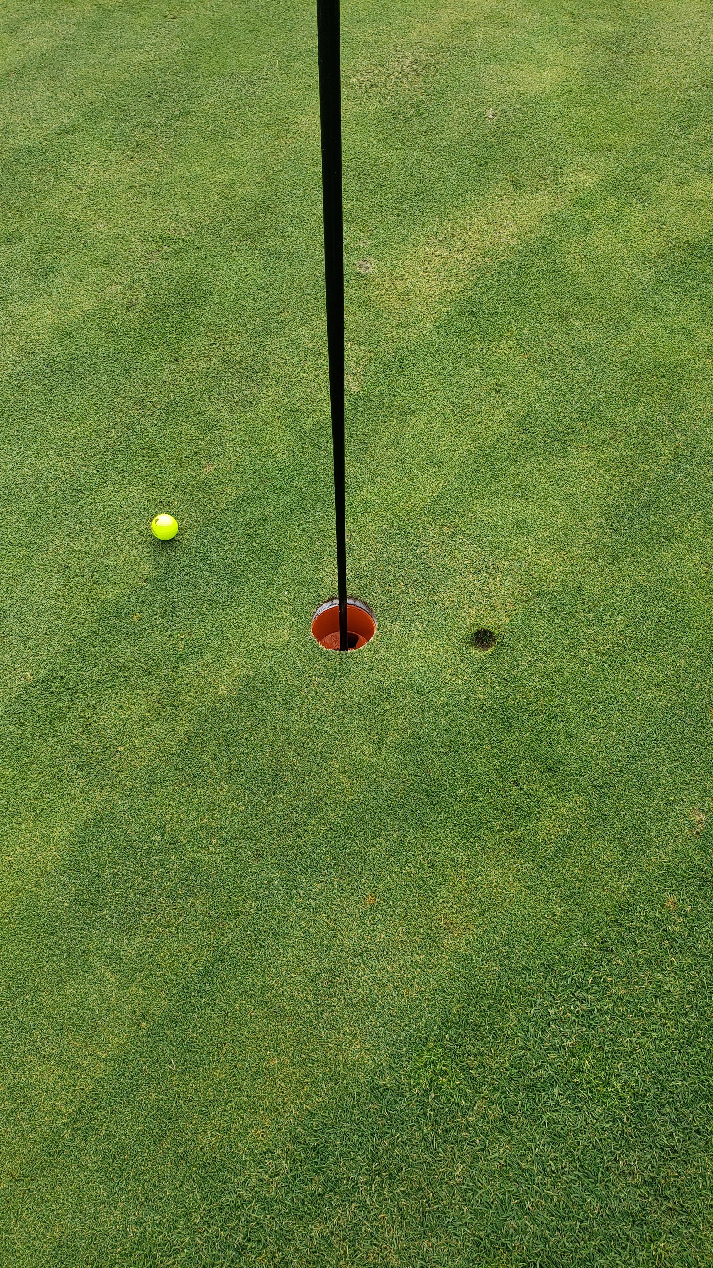 How Does Skins Work In Golf?