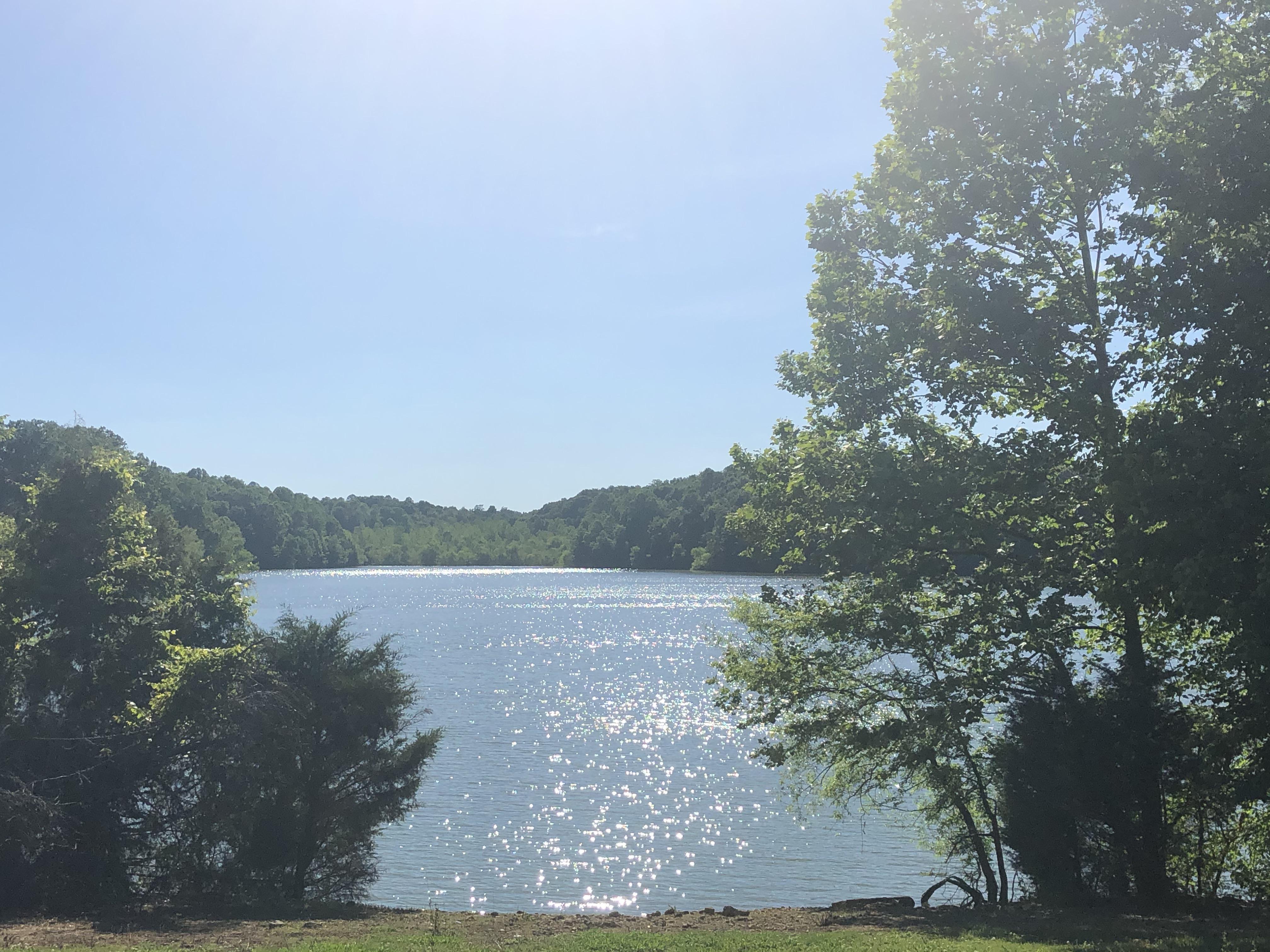 Never knew these lakes were in Middle TN Williamsport Bluecat r